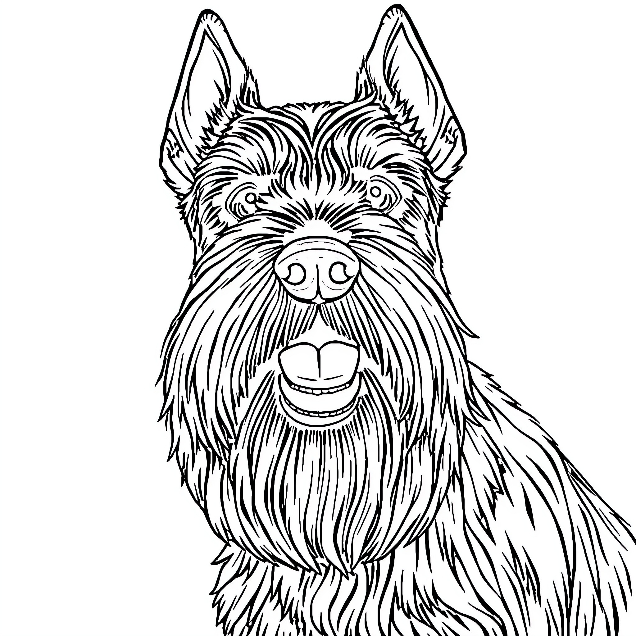 Schnauzer with a Playful Expression Coloring Page (free black-and-white line drawing printable PDF for all, from beginners to advanced learners, including children, teens, adults, and seniors)