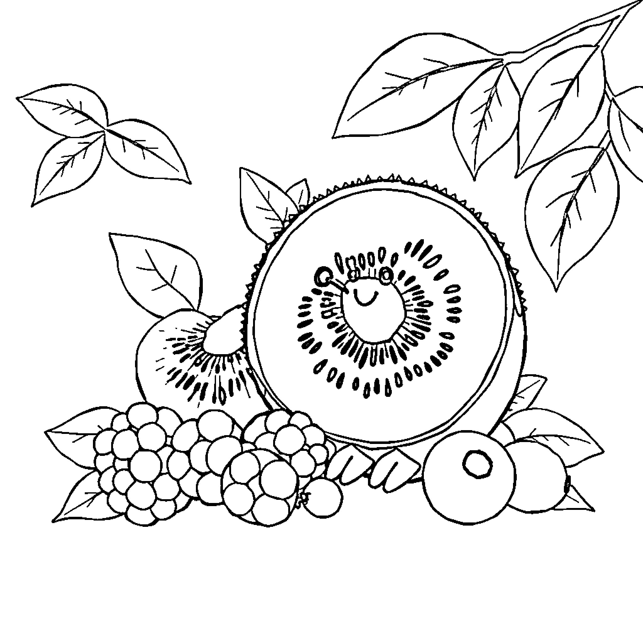 Kiwi fruit and seasonal produce still life Coloring Page (free black-and-white line drawing printable PDF for all, from beginners to advanced learners, including children, teens, adults, and seniors)