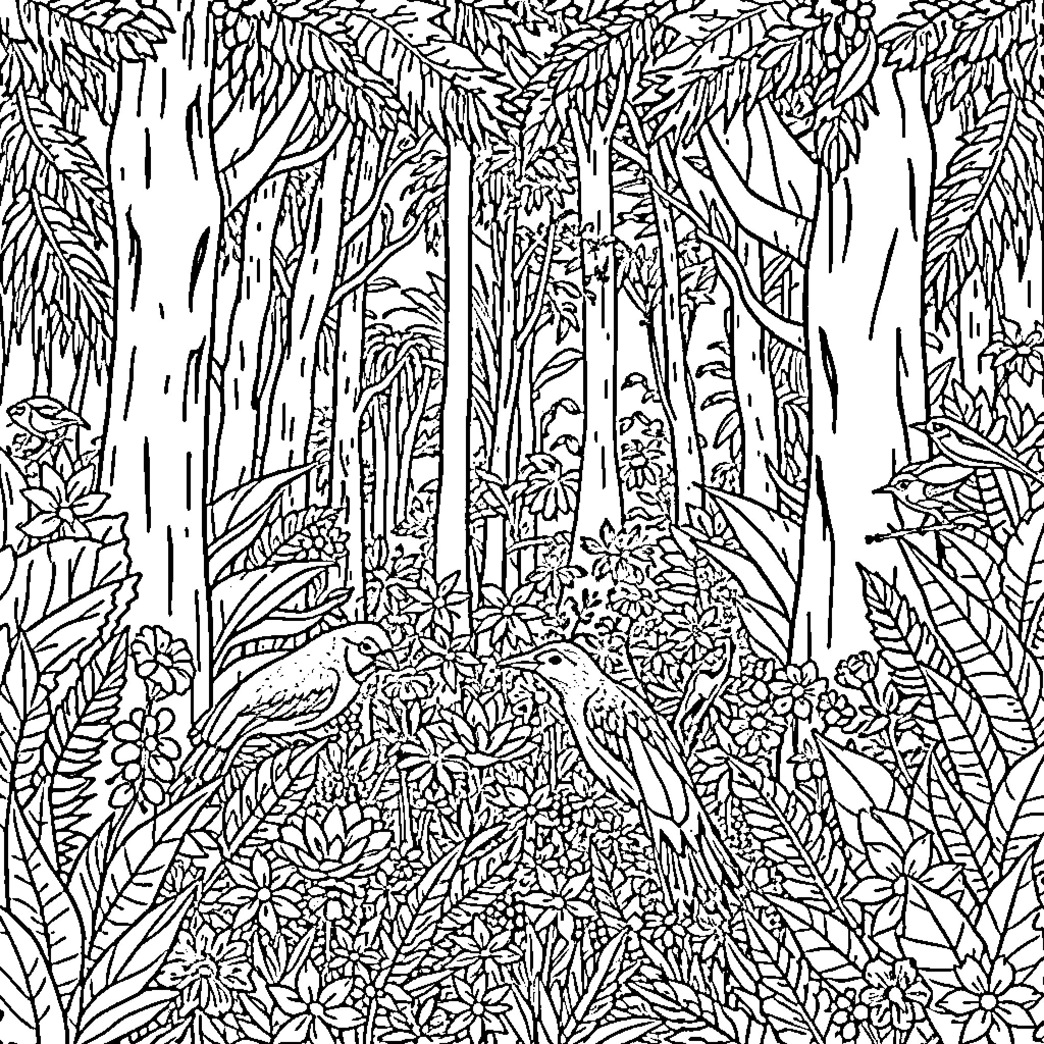 Jungle scene with lush foliage and hidden wildlife Coloring Page (free black-and-white line drawing printable PDF for all, from beginners to advanced learners, including children, teens, adults, and seniors)