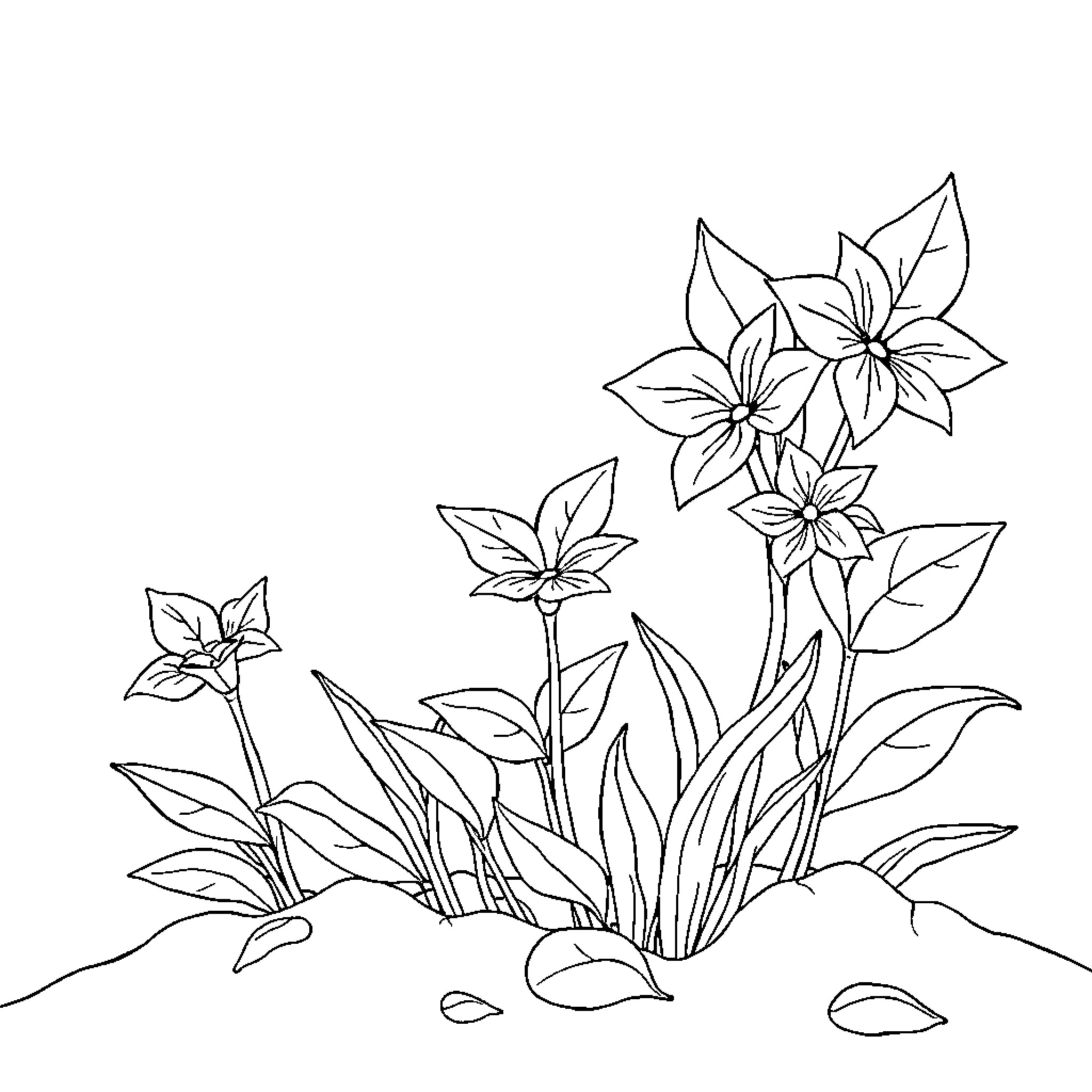 Autumn flora flourishing in the garden Coloring Page (free black-and-white line drawing printable PDF for all, from beginners to advanced learners, including children, teens, adults, and seniors)
