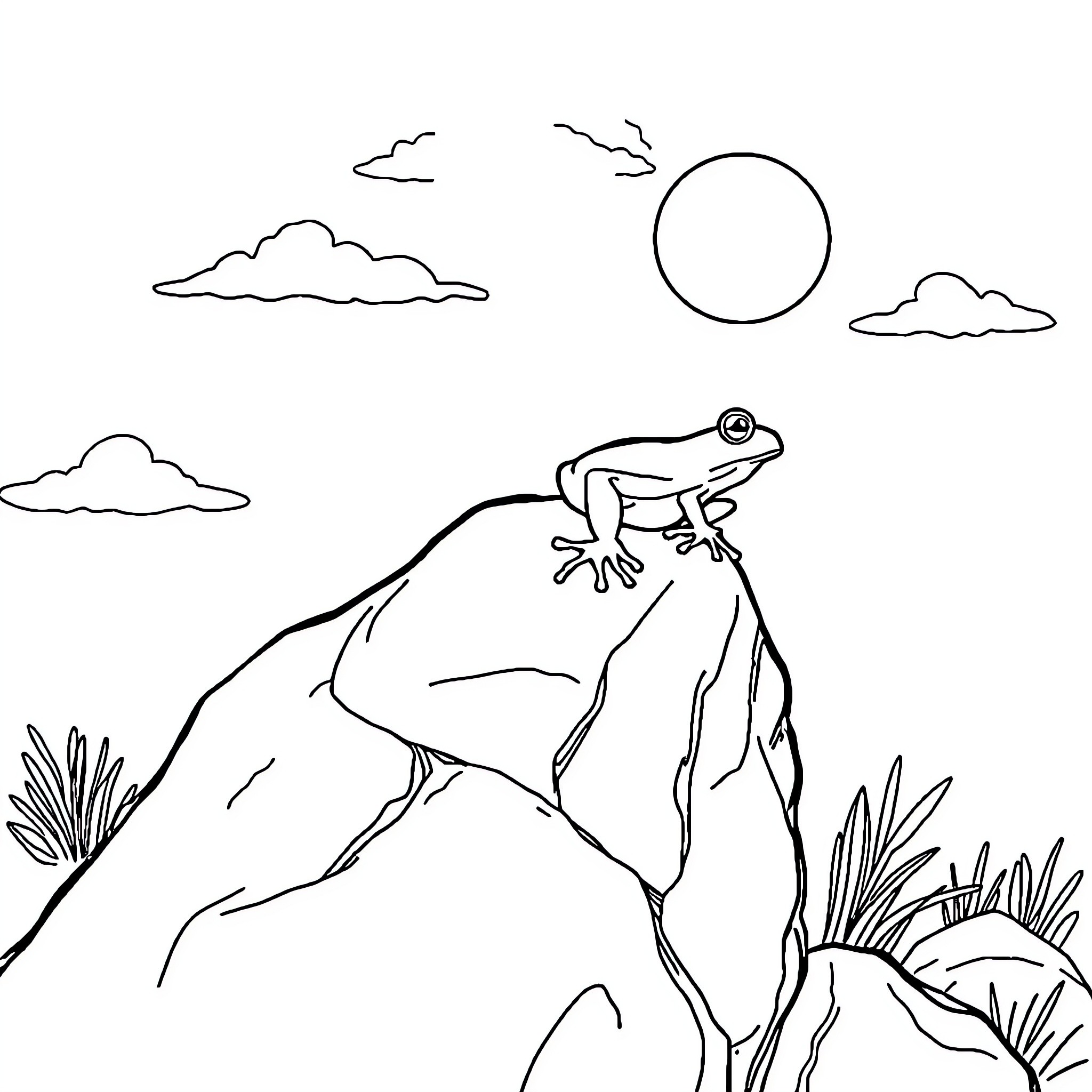 Frog resting on a rock in nature Coloring Page (free black-and-white line drawing printable PDF for all, from beginners to advanced learners, including children, teens, adults, and seniors)