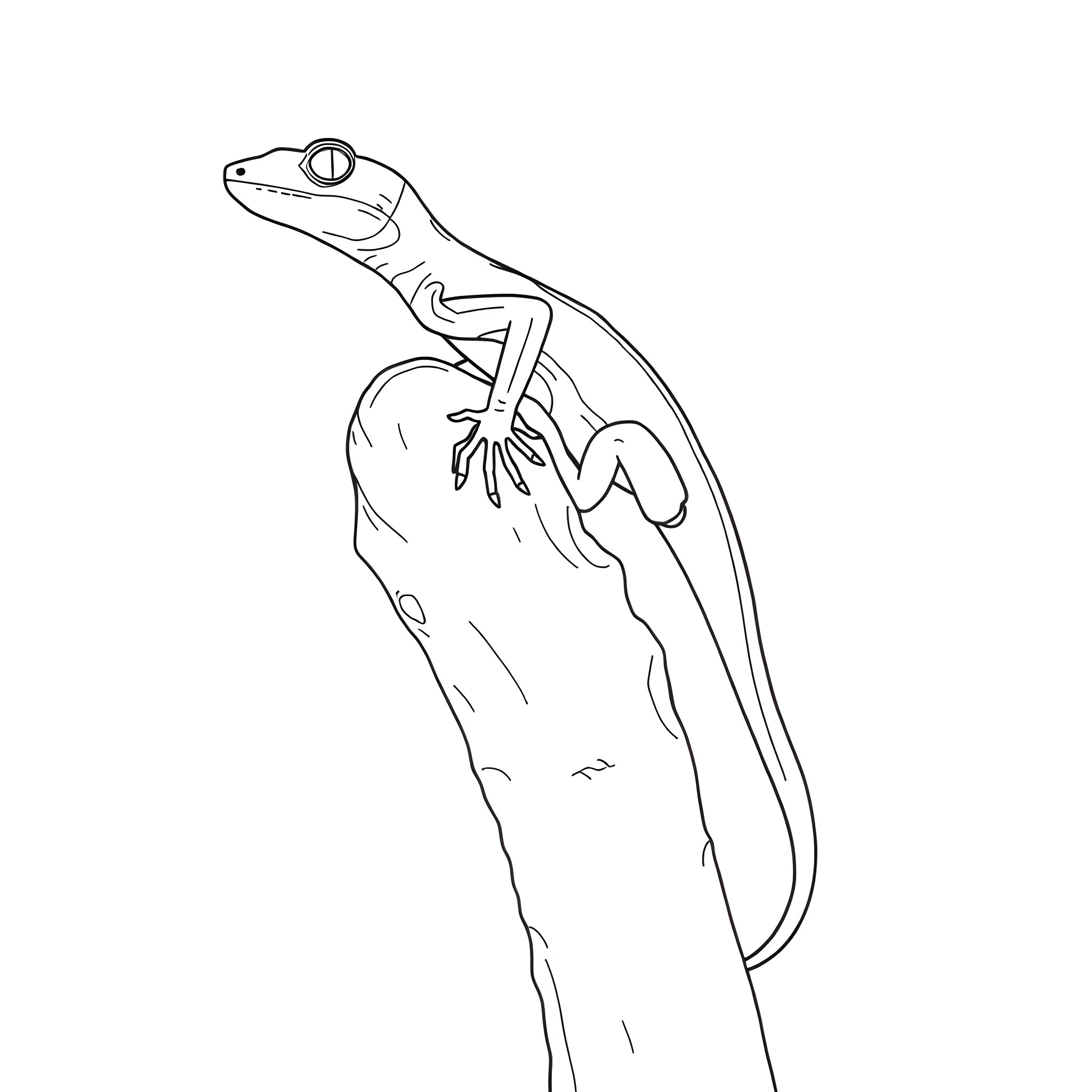 Emerald Tree Skink climbing on a branch Coloring Page (free black-and-white line drawing printable PDF for all, from beginners to advanced learners, including children, teens, adults, and seniors)
