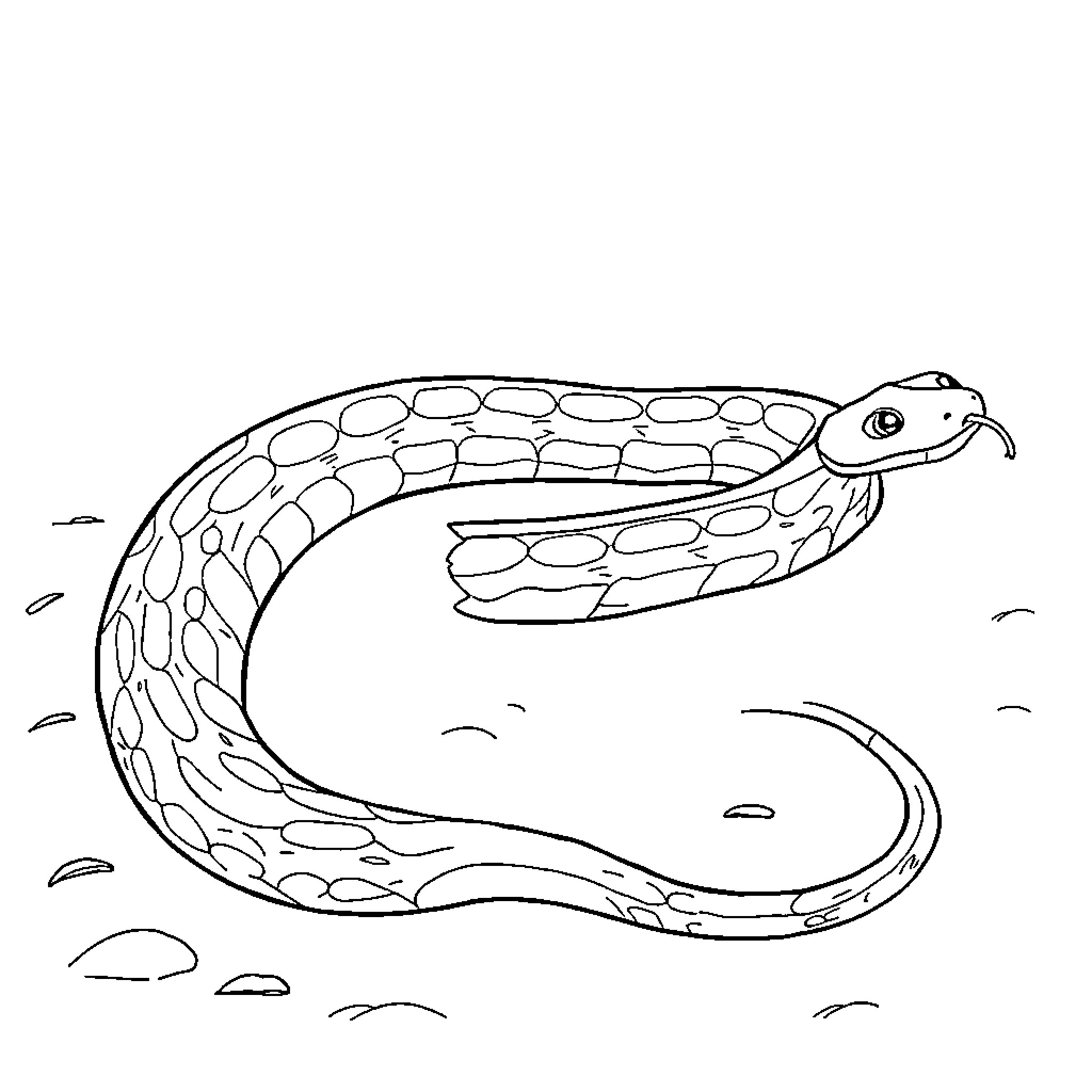 Snake slithering across the rocky terrain Coloring Page (free black-and-white line drawing printable PDF for all, from beginners to advanced learners, including children, teens, adults, and seniors)