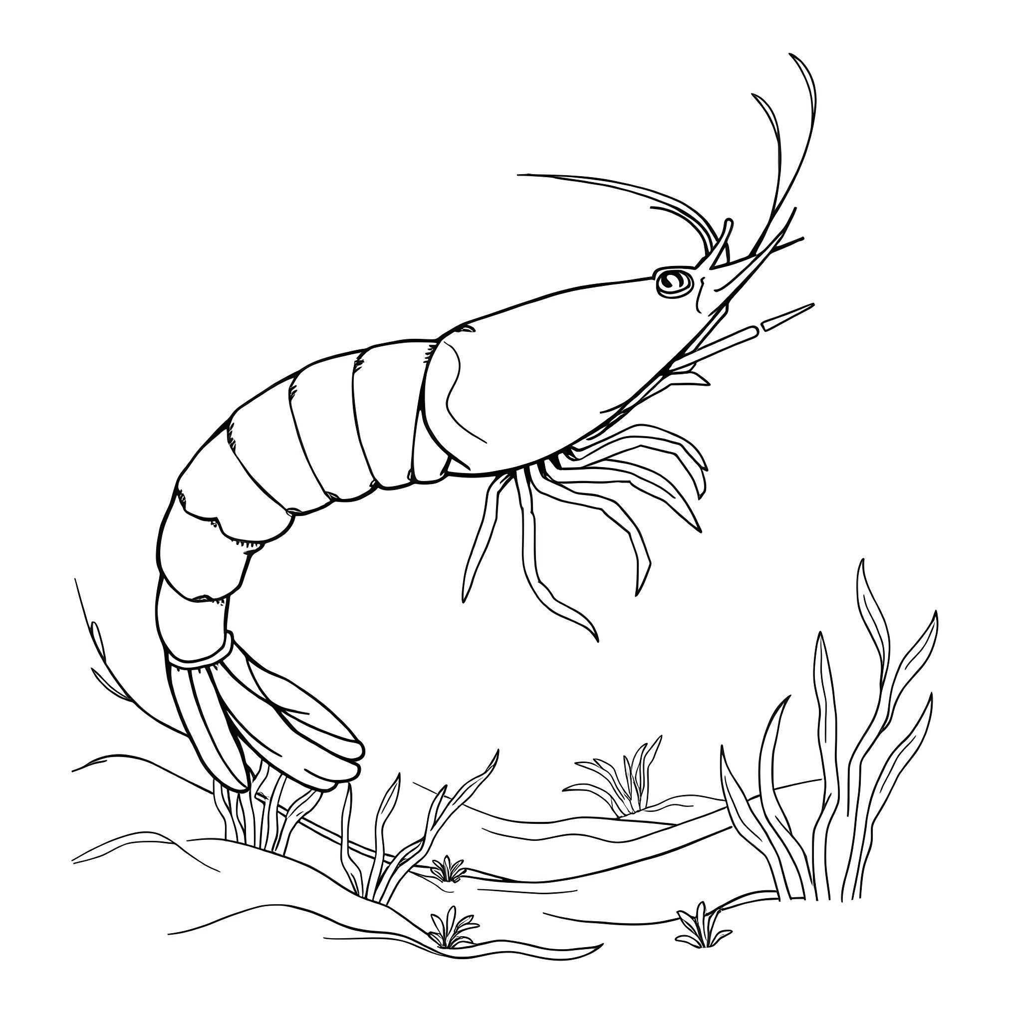 Shrimp swimming among underwater plants Coloring Page (free black-and-white line drawing printable PDF for all, from beginners to advanced learners, including children, teens, adults, and seniors)