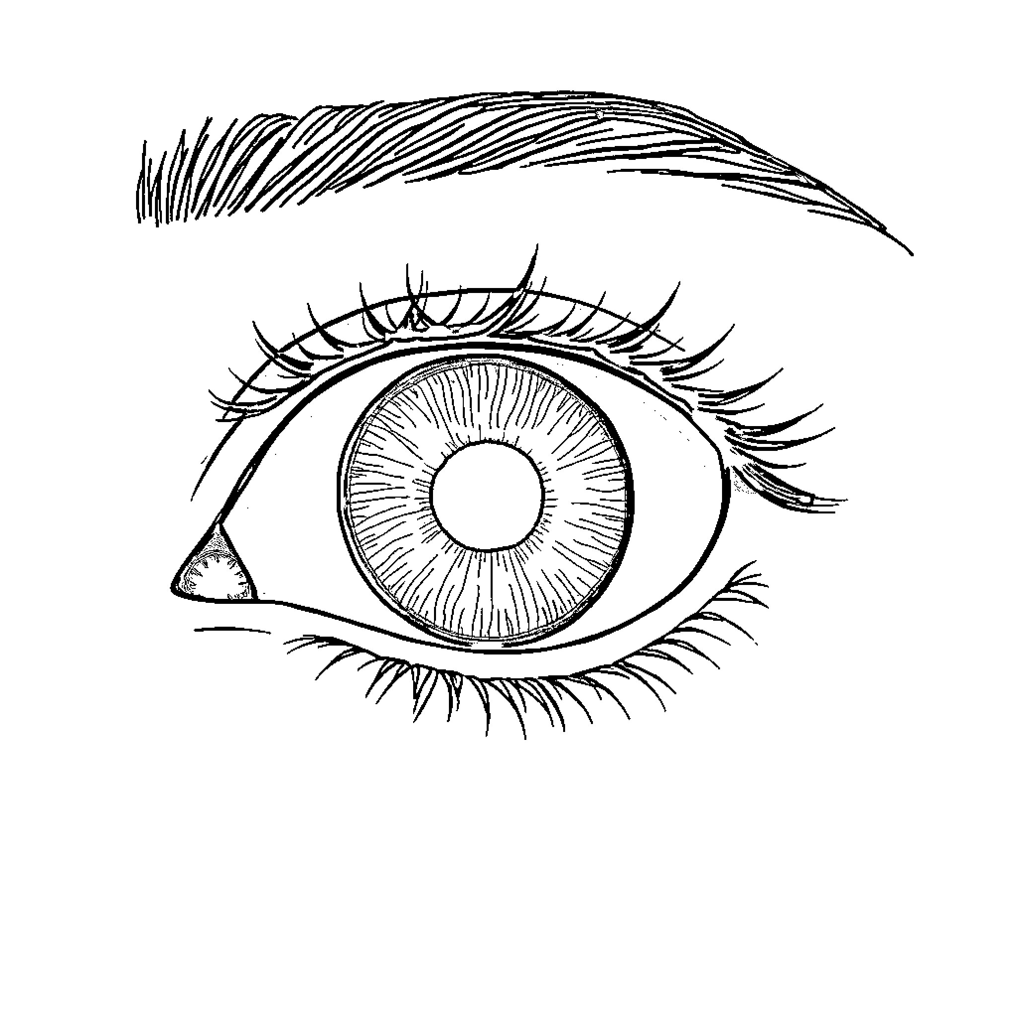 Amblyopia - Detailed Eye Sketch Coloring Page (free black-and-white line drawing printable PDF for all, from beginners to advanced learners, including children, teens, adults, and seniors)
