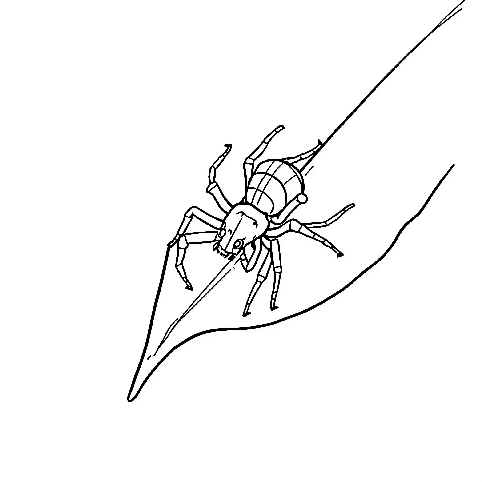 Spider climbing up the web Coloring Page (free black-and-white line drawing printable PDF for all, from beginners to advanced learners, including children, teens, adults, and seniors)