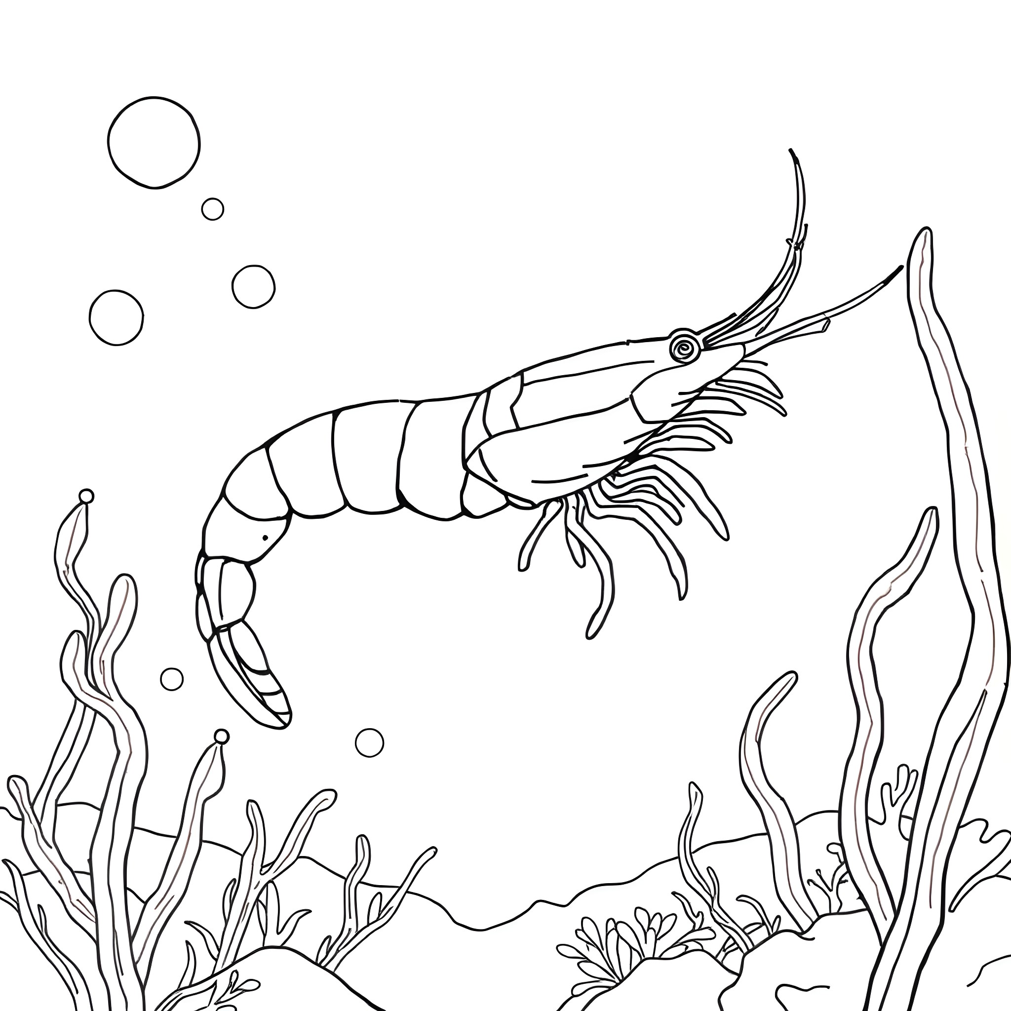 Shrimp swimming among ocean plants Coloring Page (free black-and-white line drawing printable PDF for all, from beginners to advanced learners, including children, teens, adults, and seniors)