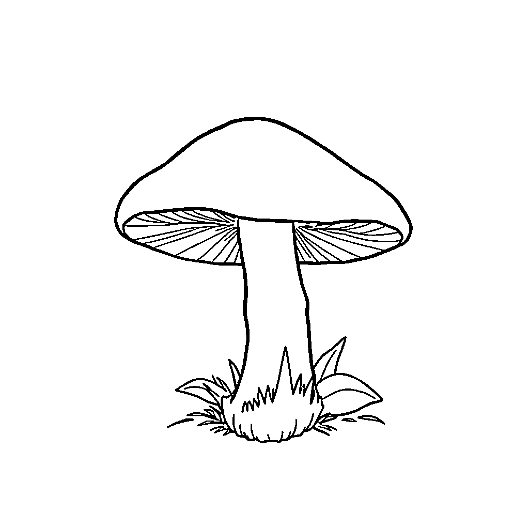 Mushroom growing in the wild Coloring Page (free black-and-white line drawing printable PDF for all, from beginners to advanced learners, including children, teens, adults, and seniors)