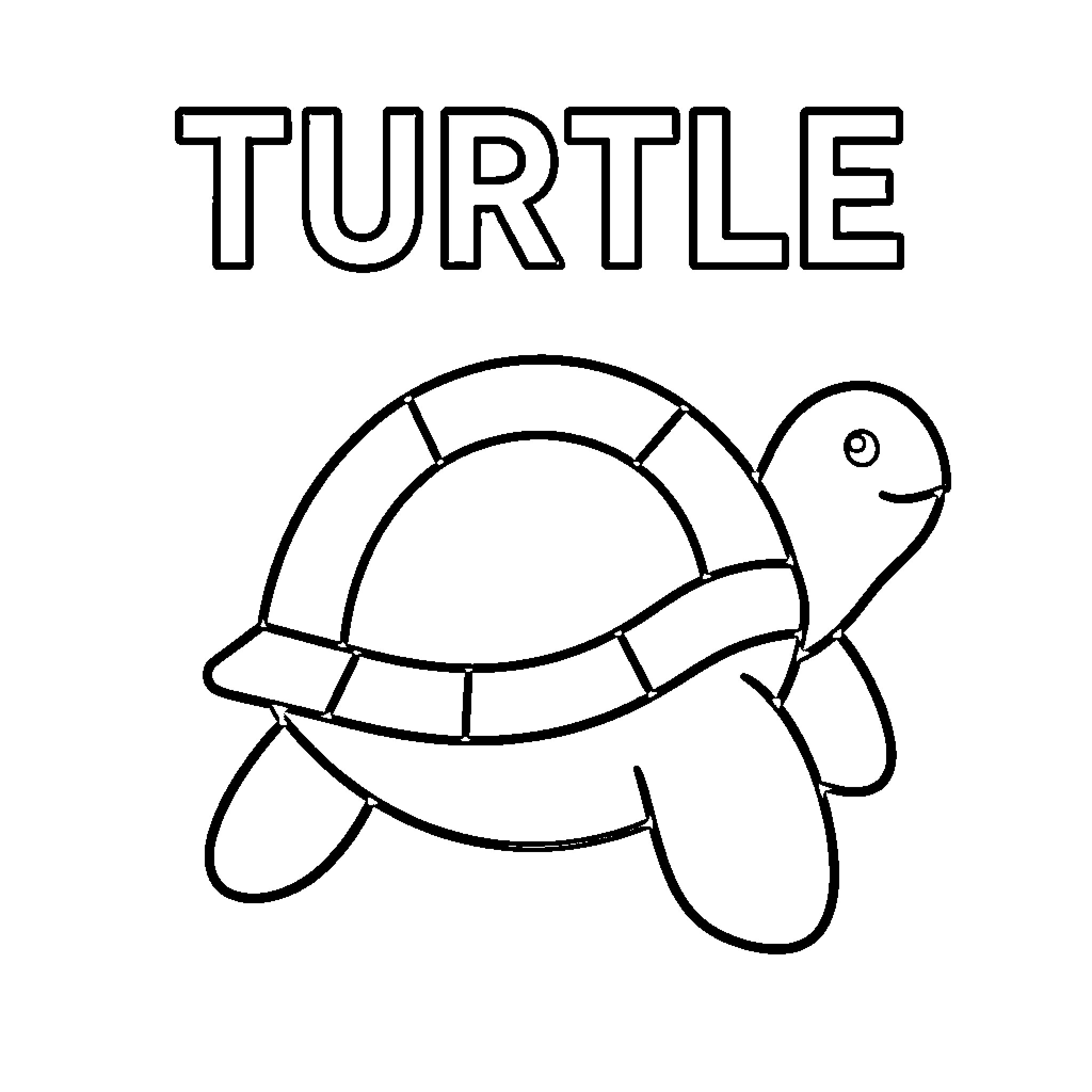 Turtle simple line drawing Coloring Page (free black-and-white line drawing printable PDF for all, from beginners to advanced learners, including children, teens, adults, and seniors)