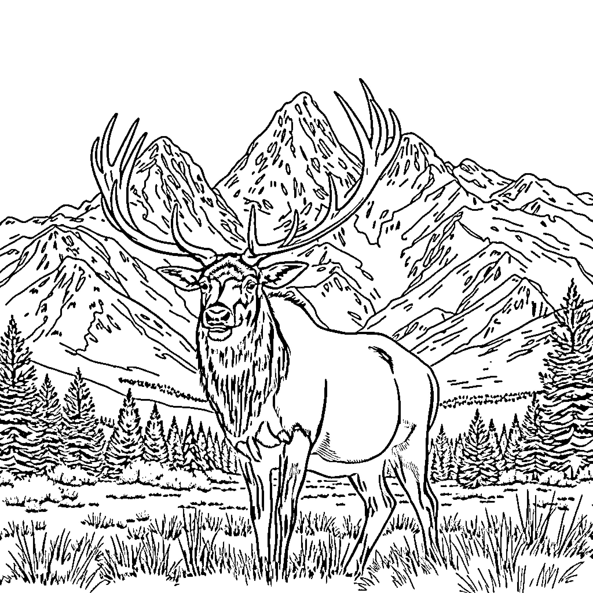 Bull Elk Standing Majestically in Mountainous Landscape Coloring Page (free black-and-white line drawing printable PDF for all, from beginners to advanced learners, including children, teens, adults, and seniors)