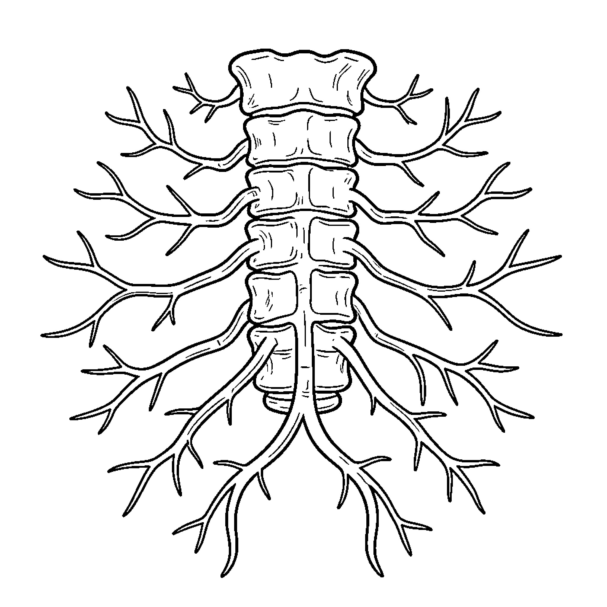 Vertebra structure with branching organic patterns Coloring Page (free black-and-white line drawing printable PDF for all, from beginners to advanced learners, including children, teens, adults, and seniors)