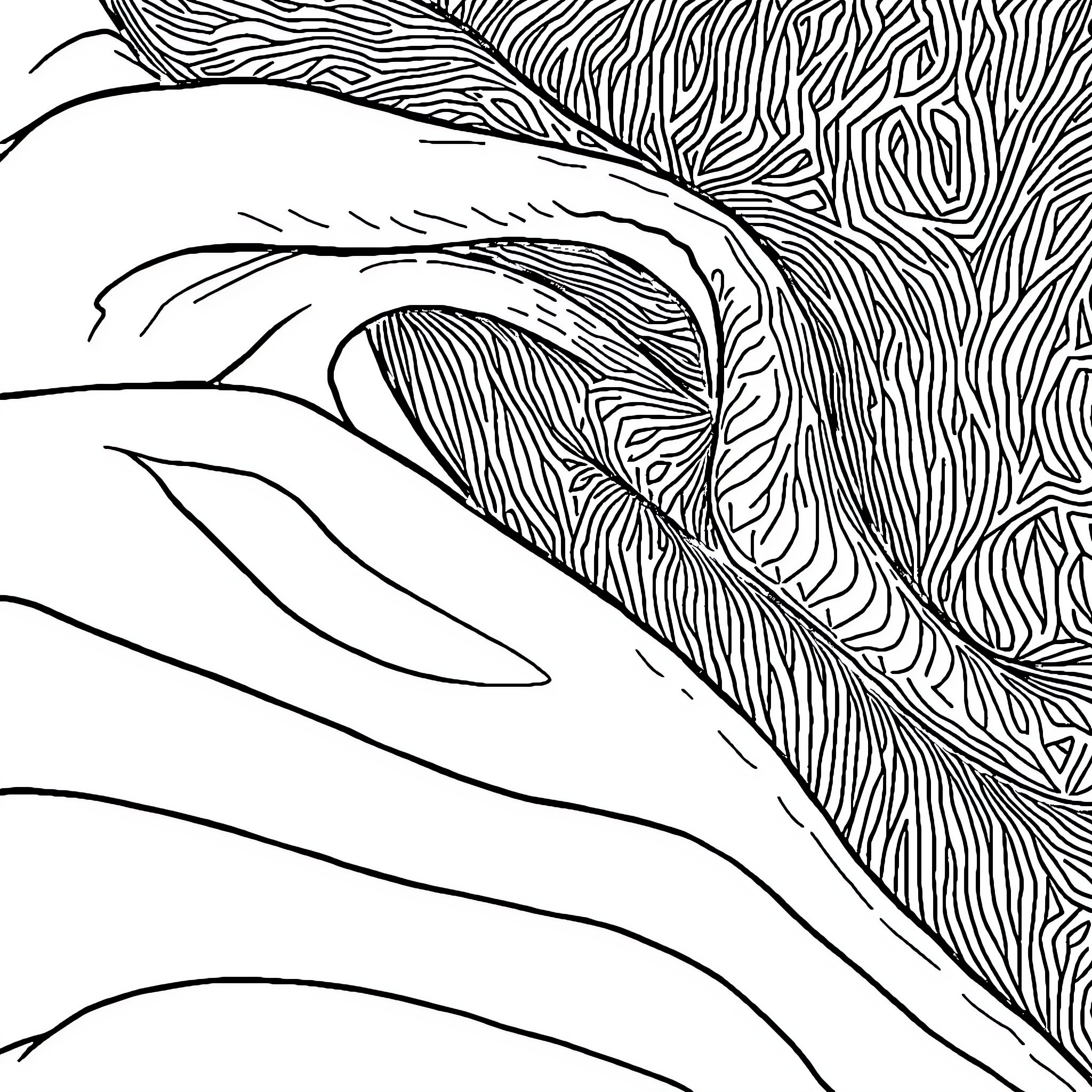 Material Properties of Organic Structures Coloring Page (free black-and-white line drawing printable PDF for all, from beginners to advanced learners, including children, teens, adults, and seniors)