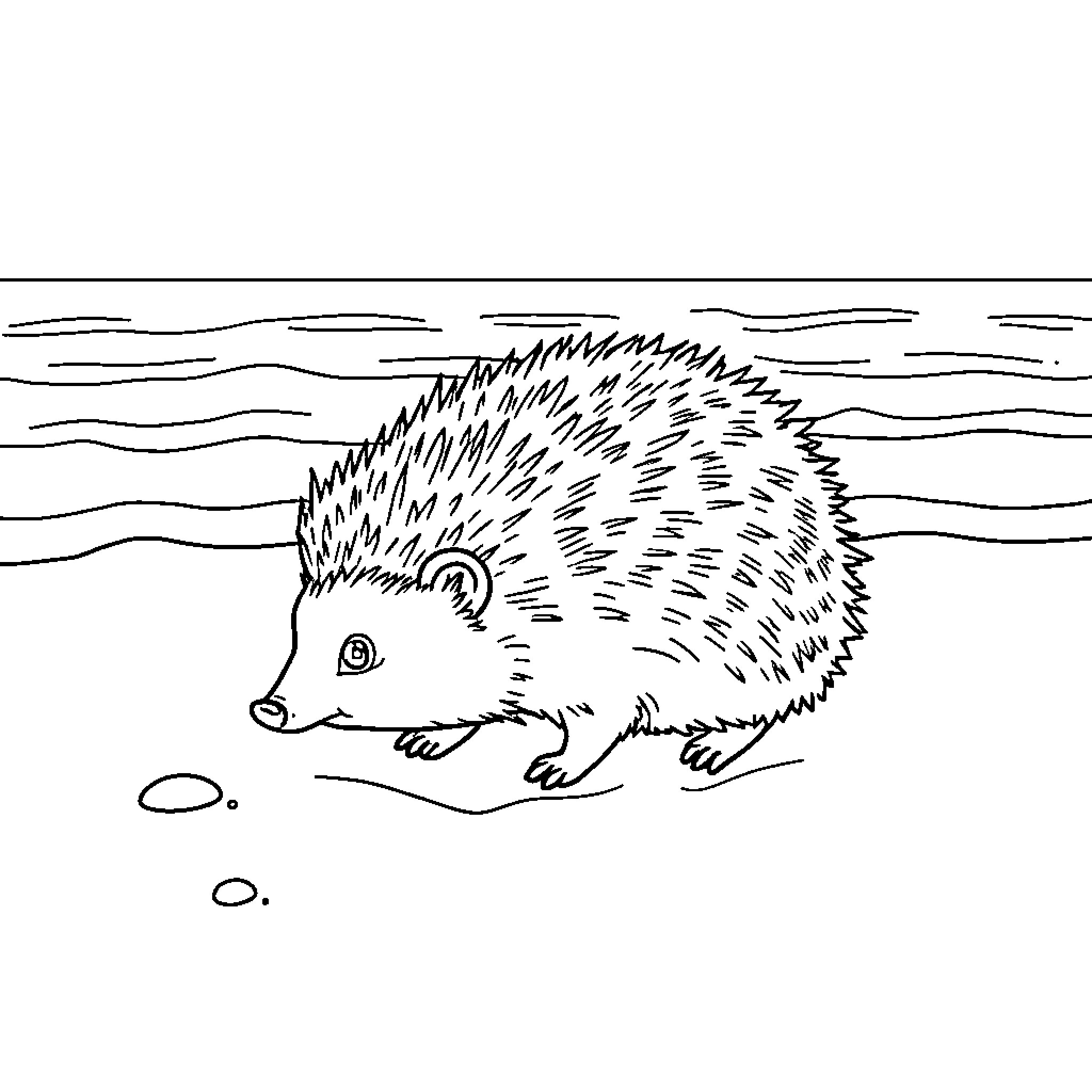 Hedgehog walking through the grass Coloring Page (free black-and-white line drawing printable PDF for all, from beginners to advanced learners, including children, teens, adults, and seniors)