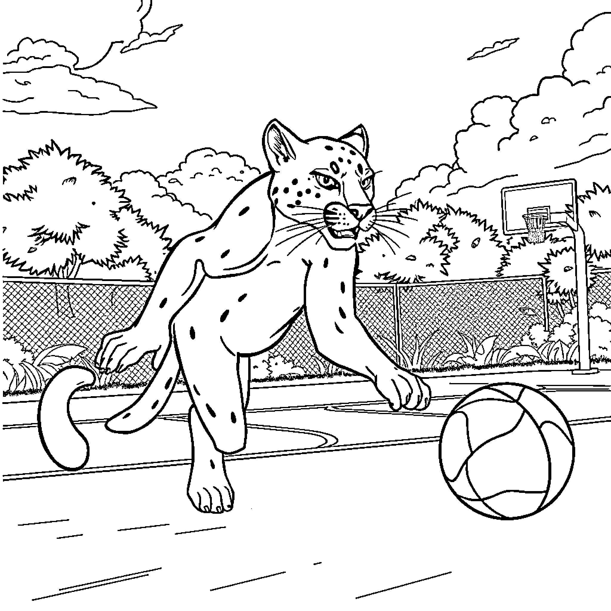 Cougar playing with ball in the park Coloring Page (free black-and-white line drawing printable PDF for all, from beginners to advanced learners, including children, teens, adults, and seniors)