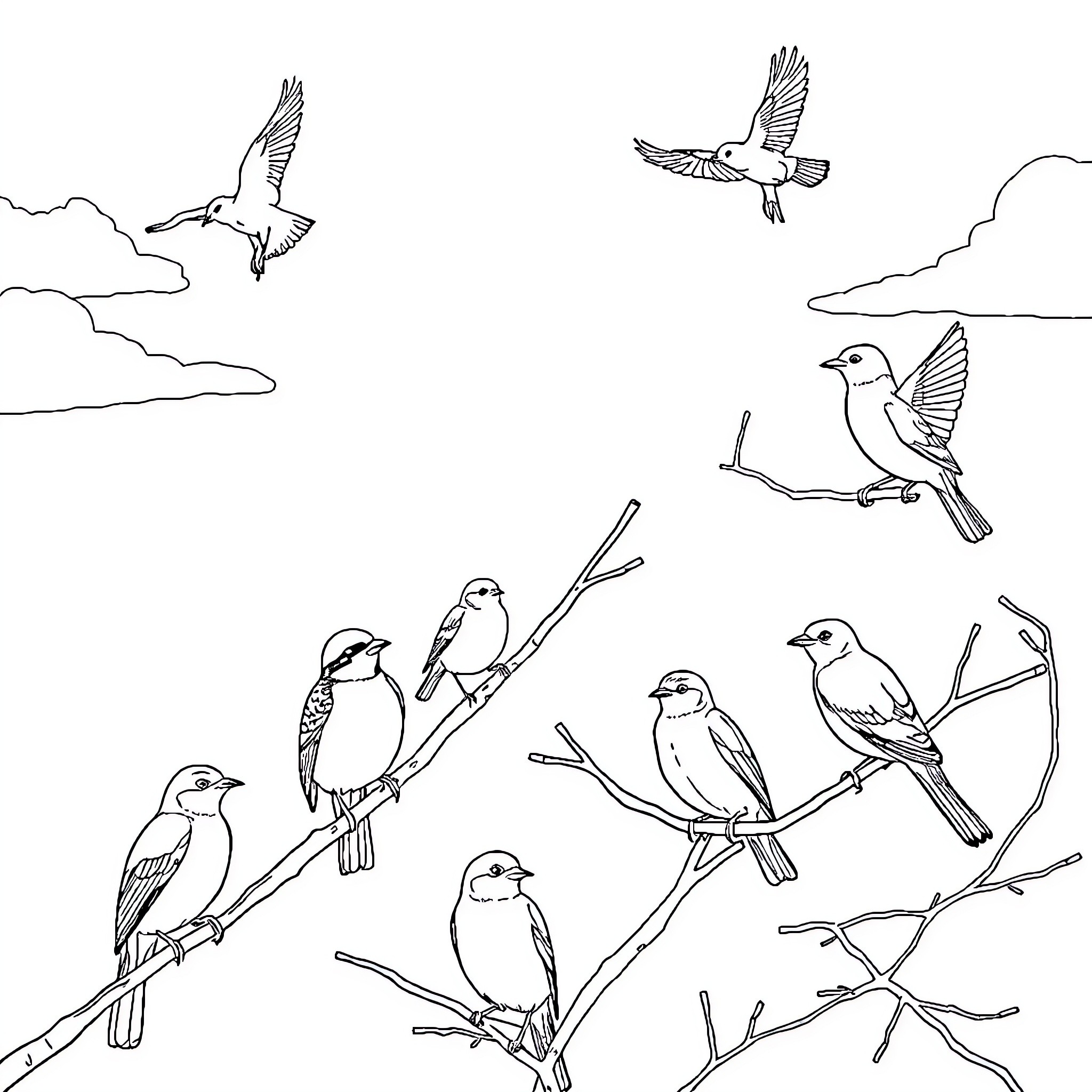 Birds in flight and perched on branches Coloring Page (free black-and-white line drawing printable PDF for all, from beginners to advanced learners, including children, teens, adults, and seniors)