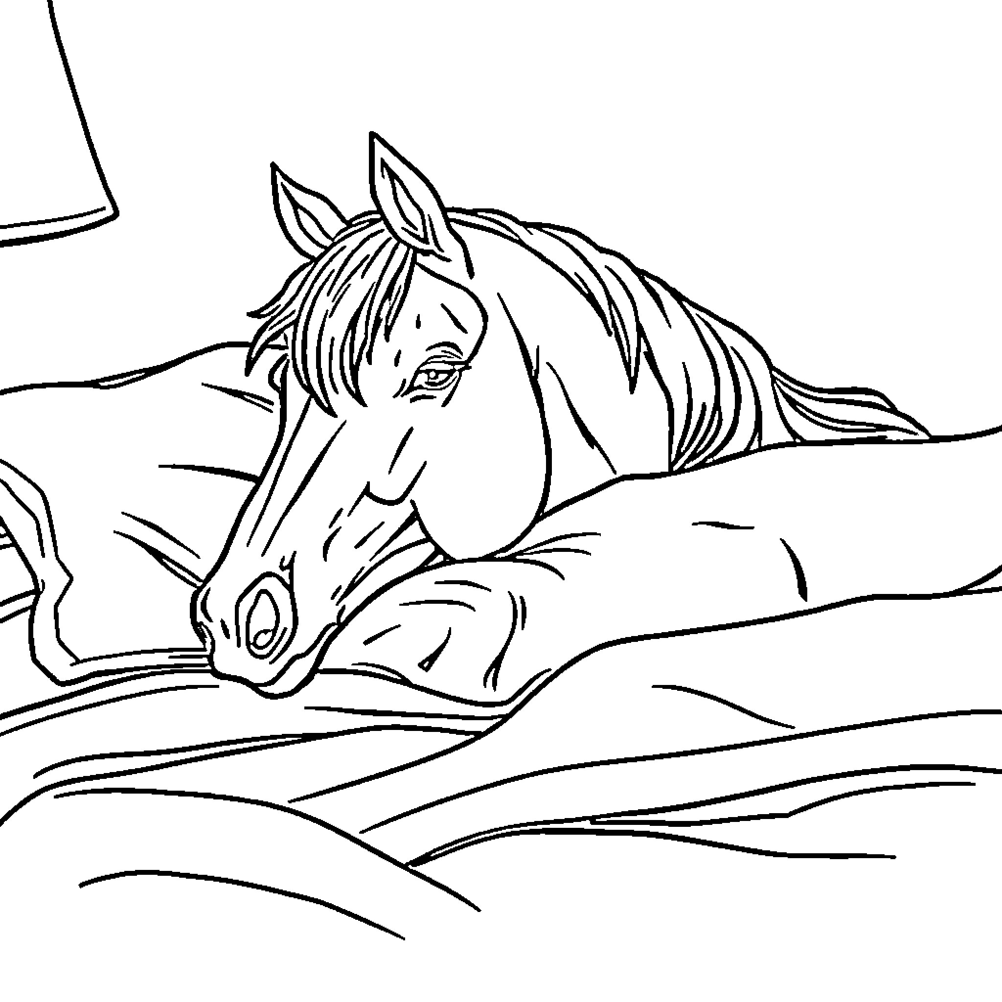 Horse resting peacefully in the field Coloring Page (free black-and-white line drawing printable PDF for all, from beginners to advanced learners, including children, teens, adults, and seniors)