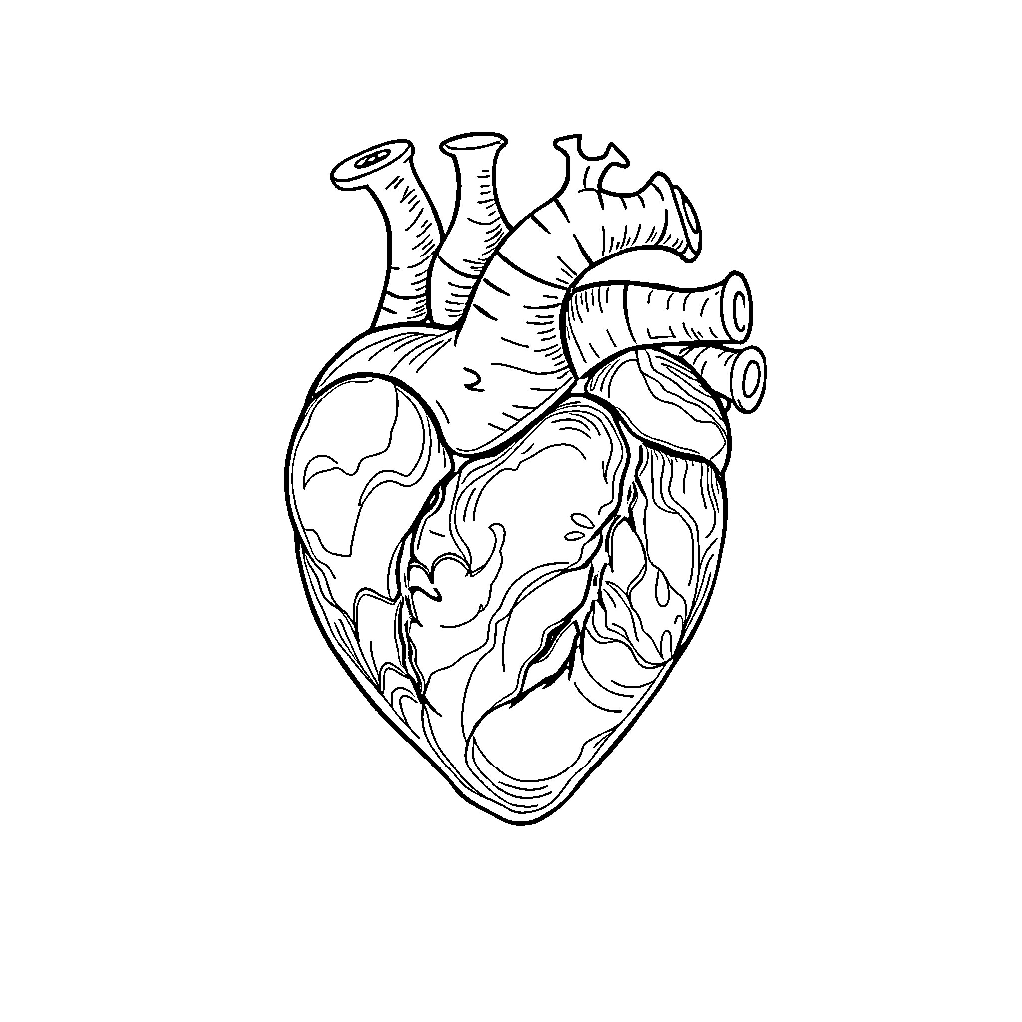 Heart of the Earth Coloring Page (free black-and-white line drawing printable PDF for all, from beginners to advanced learners, including children, teens, adults, and seniors)