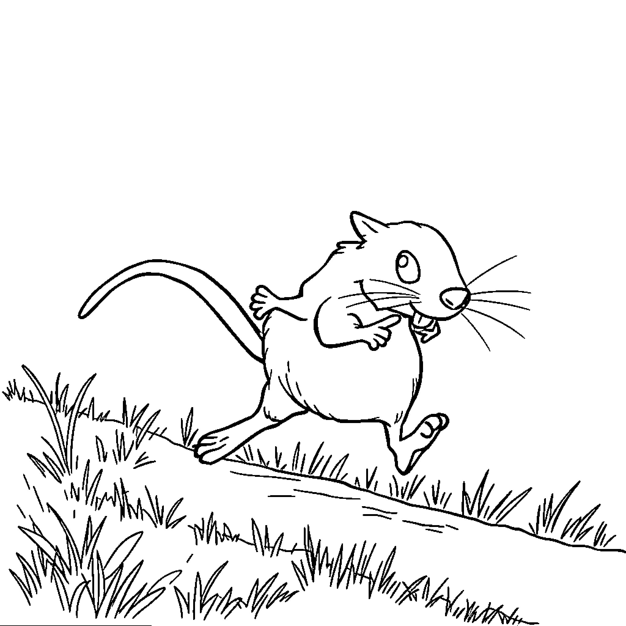 Rat scurrying through the grass Coloring Page (free black-and-white line drawing printable PDF for all, from beginners to advanced learners, including children, teens, adults, and seniors)