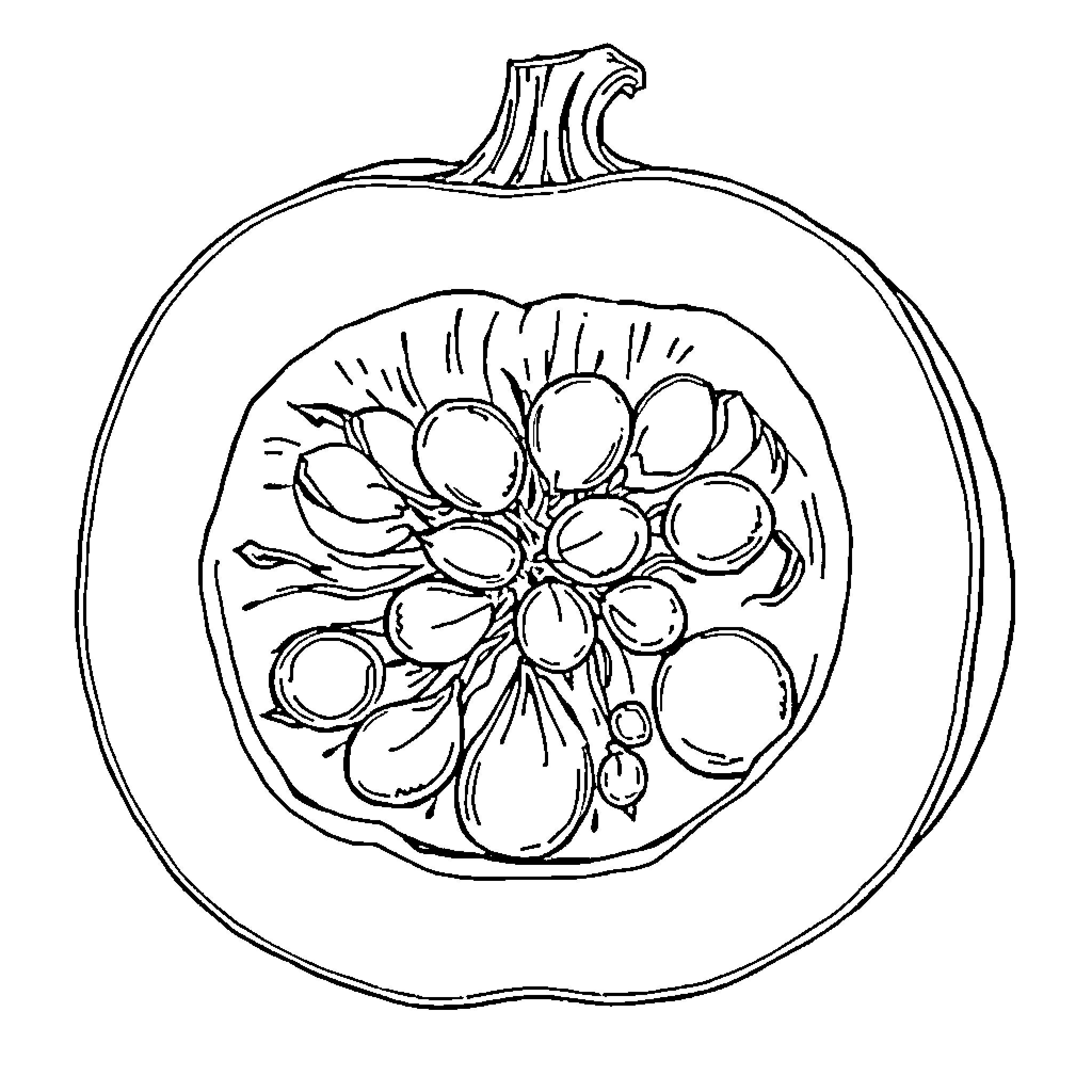 Pumpkin with intricate flower design Coloring Page (free black-and-white line drawing printable PDF for all, from beginners to advanced learners, including children, teens, adults, and seniors)