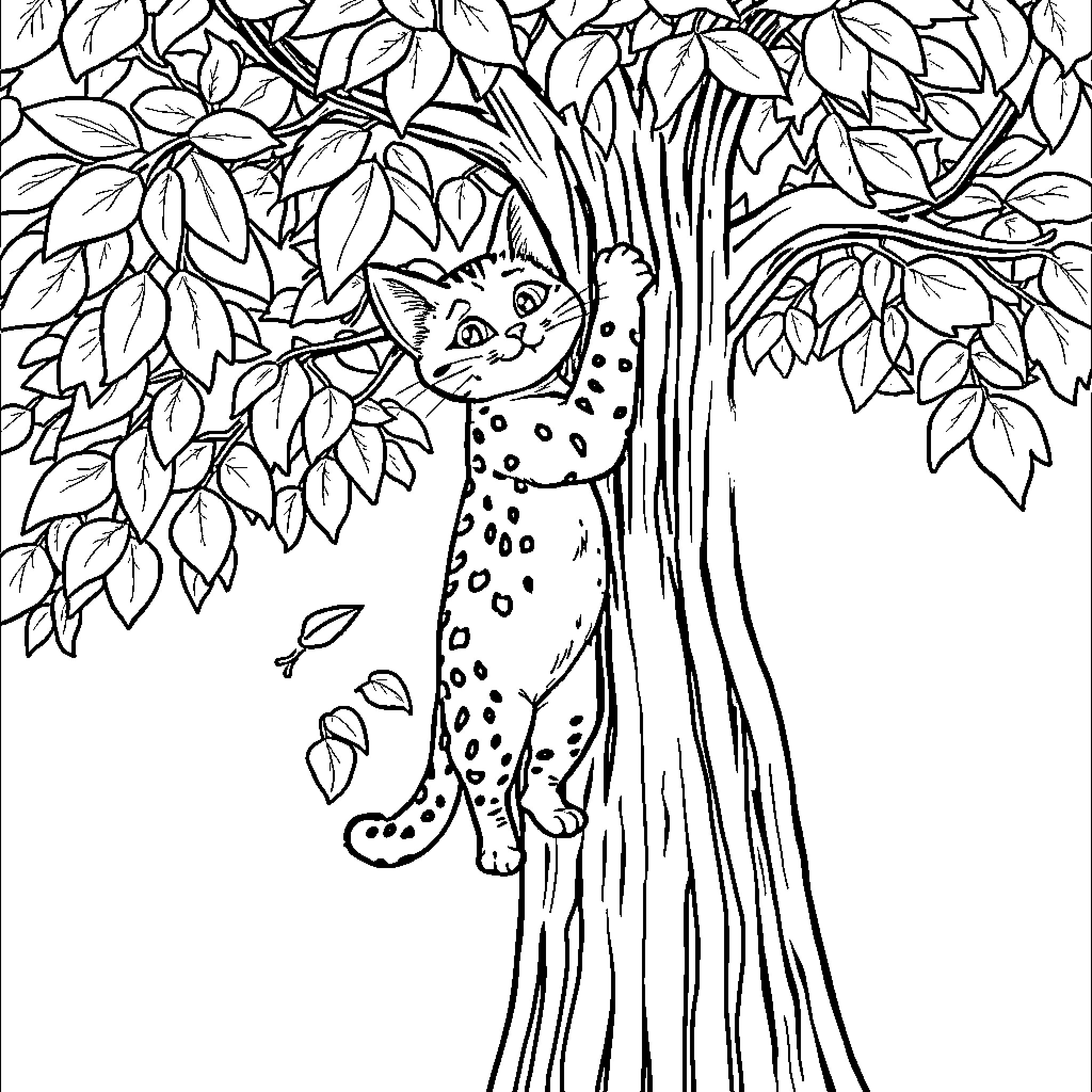 Cat hiding in the foliage of a tree Coloring Page (free black-and-white line drawing printable PDF for all, from beginners to advanced learners, including children, teens, adults, and seniors)