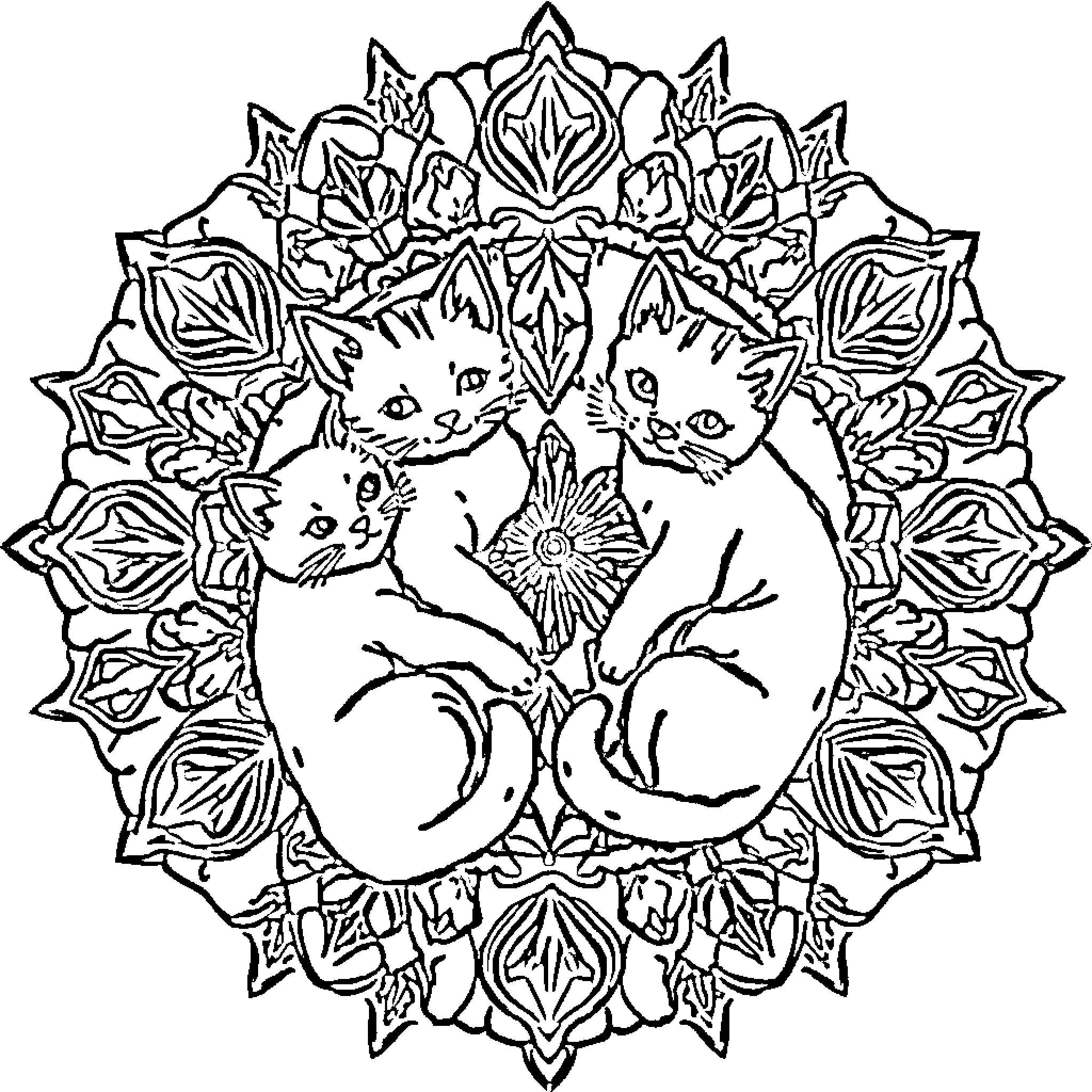 Cats resting peacefully in decorative frame Coloring Page (free black-and-white line drawing printable PDF for all, from beginners to advanced learners, including children, teens, adults, and seniors)