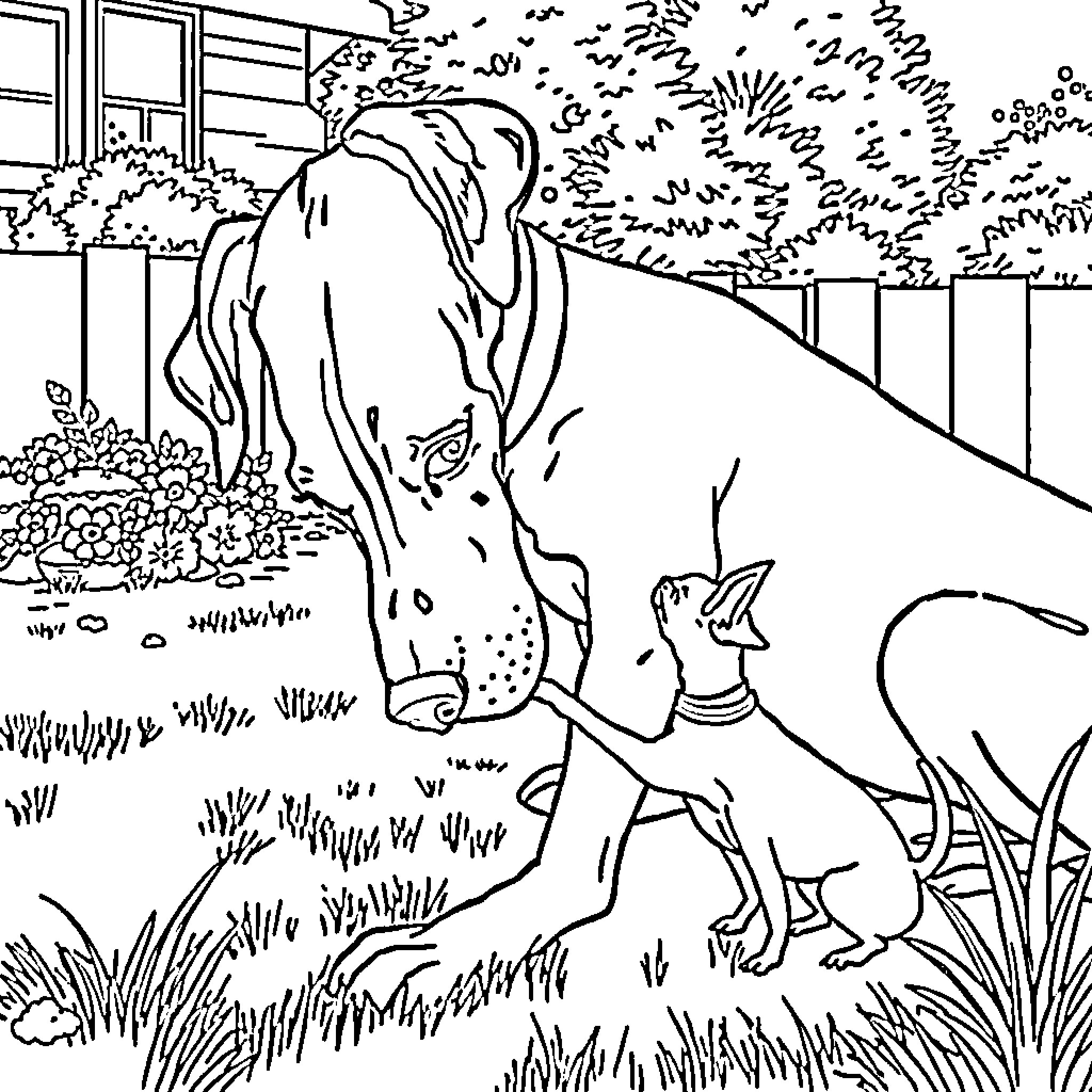 Great Dane playing with a puppy in the yard Coloring Page (free black-and-white line drawing printable PDF for all, from beginners to advanced learners, including children, teens, adults, and seniors)