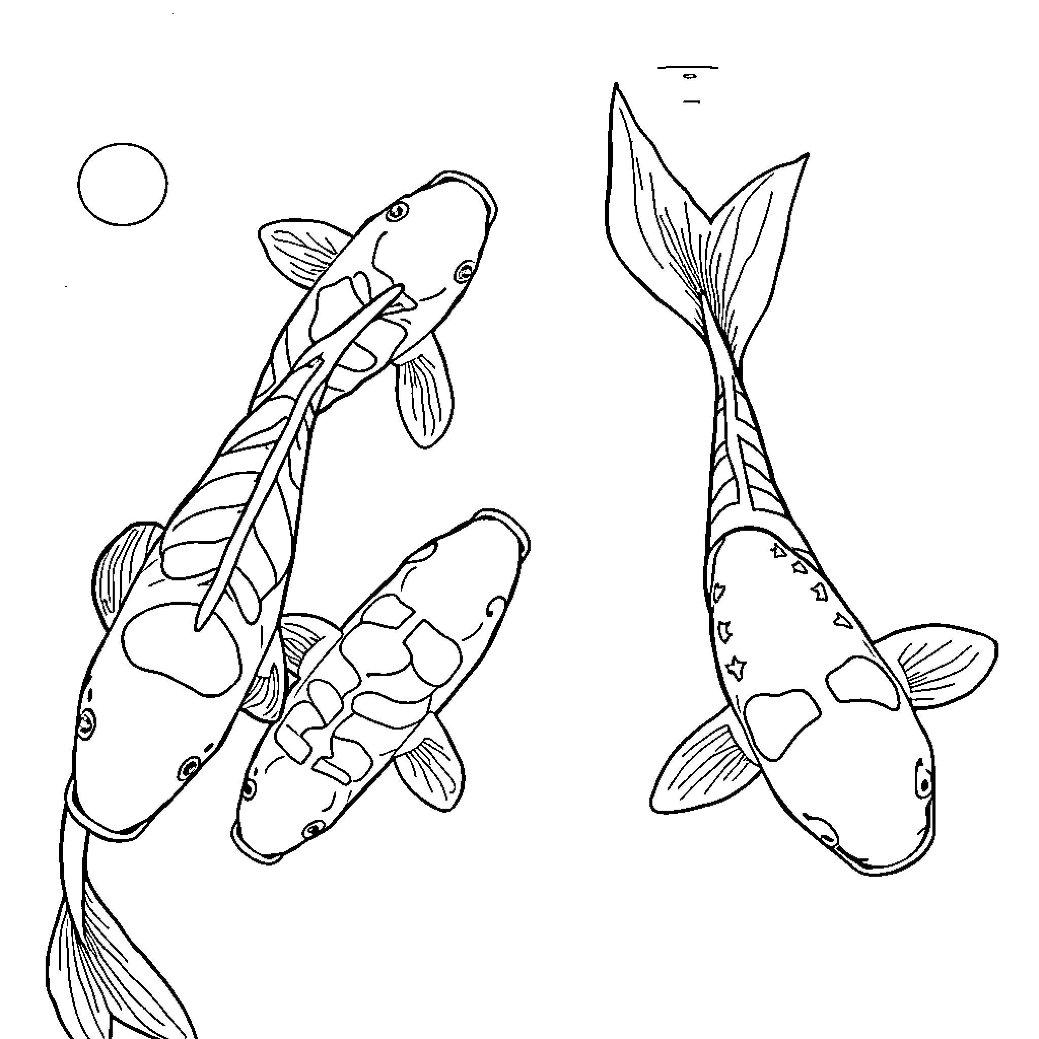 Koi Fish Swimming Gracefully in the Pond Coloring Page (free black-and-white line drawing printable PDF for all, from beginners to advanced learners, including children, teens, adults, and seniors)