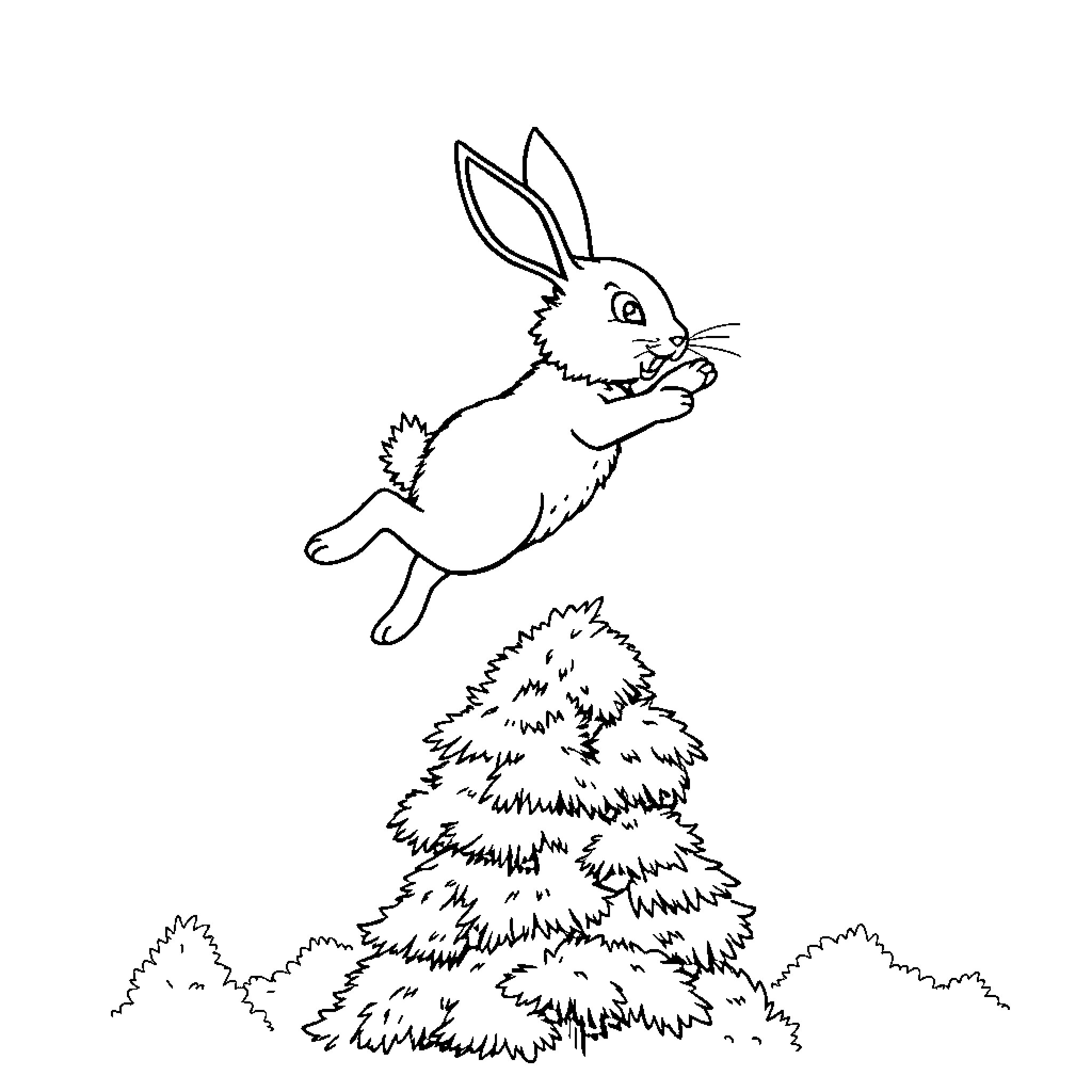 Bunny hopping over fluffy bushes Coloring Page (free black-and-white line drawing printable PDF for all, from beginners to advanced learners, including children, teens, adults, and seniors)