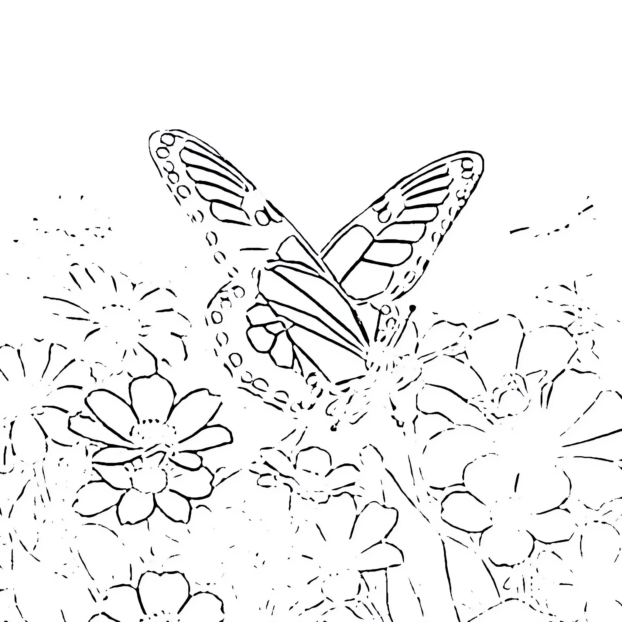 Butterfly soaring amidst floral blooms Coloring Page (free black-and-white line drawing printable PDF for all, from beginners to advanced learners, including children, teens, adults, and seniors)