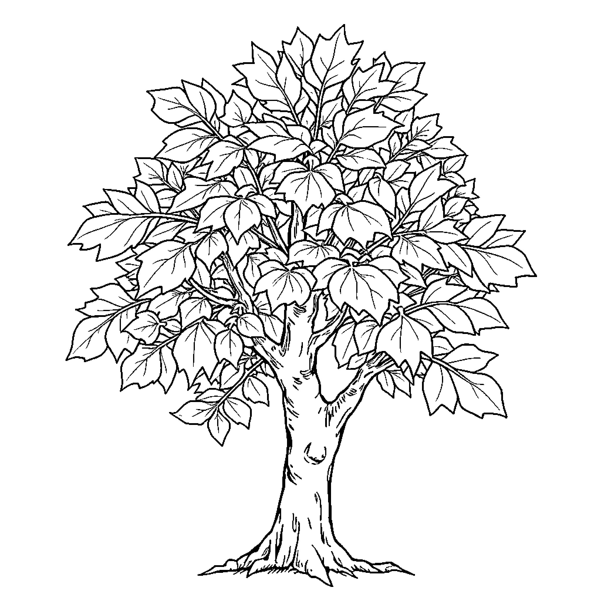 Beech Tree with Flourishing Foliage Coloring Page (free black-and-white line drawing printable PDF for all, from beginners to advanced learners, including children, teens, adults, and seniors)