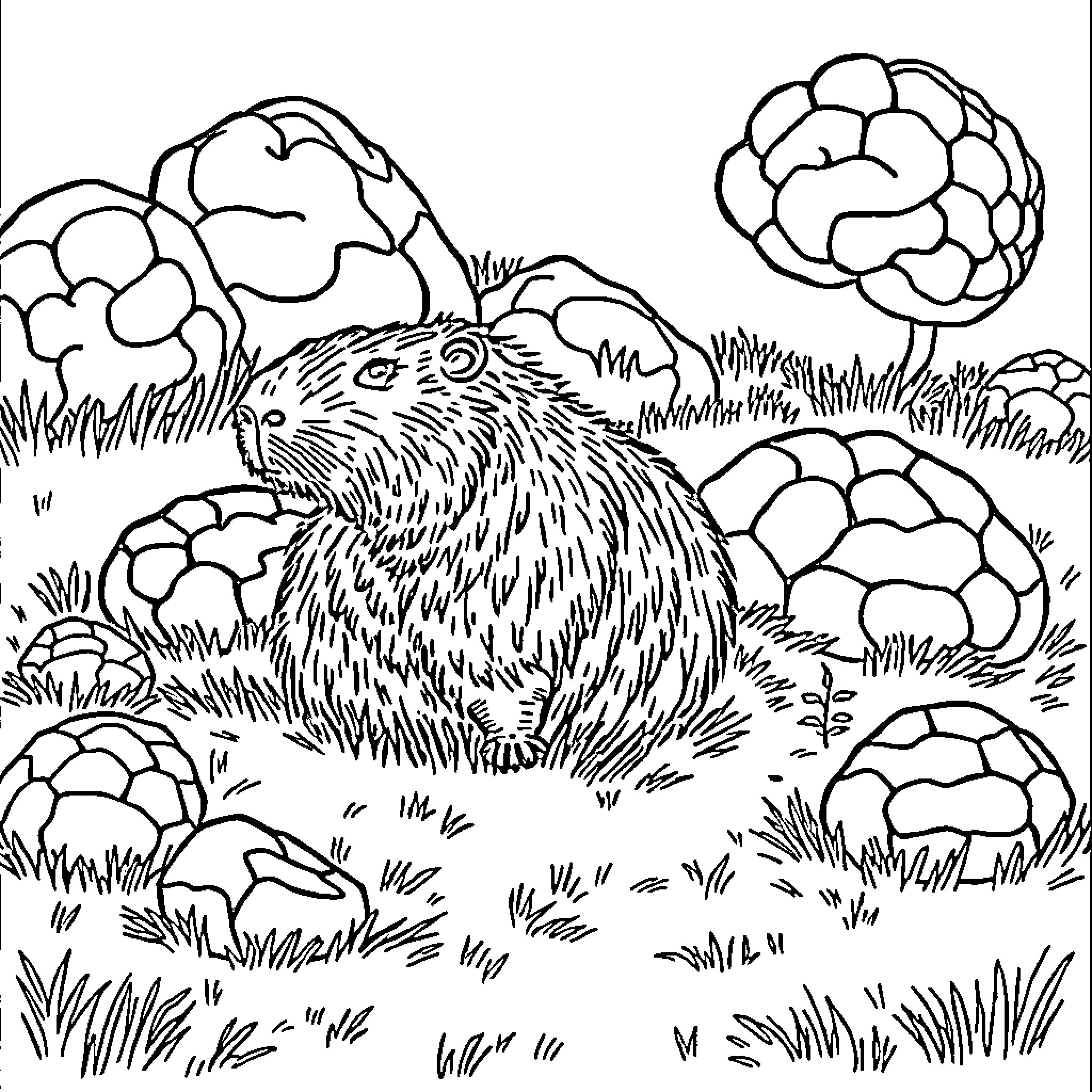 Capybara relaxing in lush nature Coloring Page (free black-and-white line drawing printable PDF for all, from beginners to advanced learners, including children, teens, adults, and seniors)