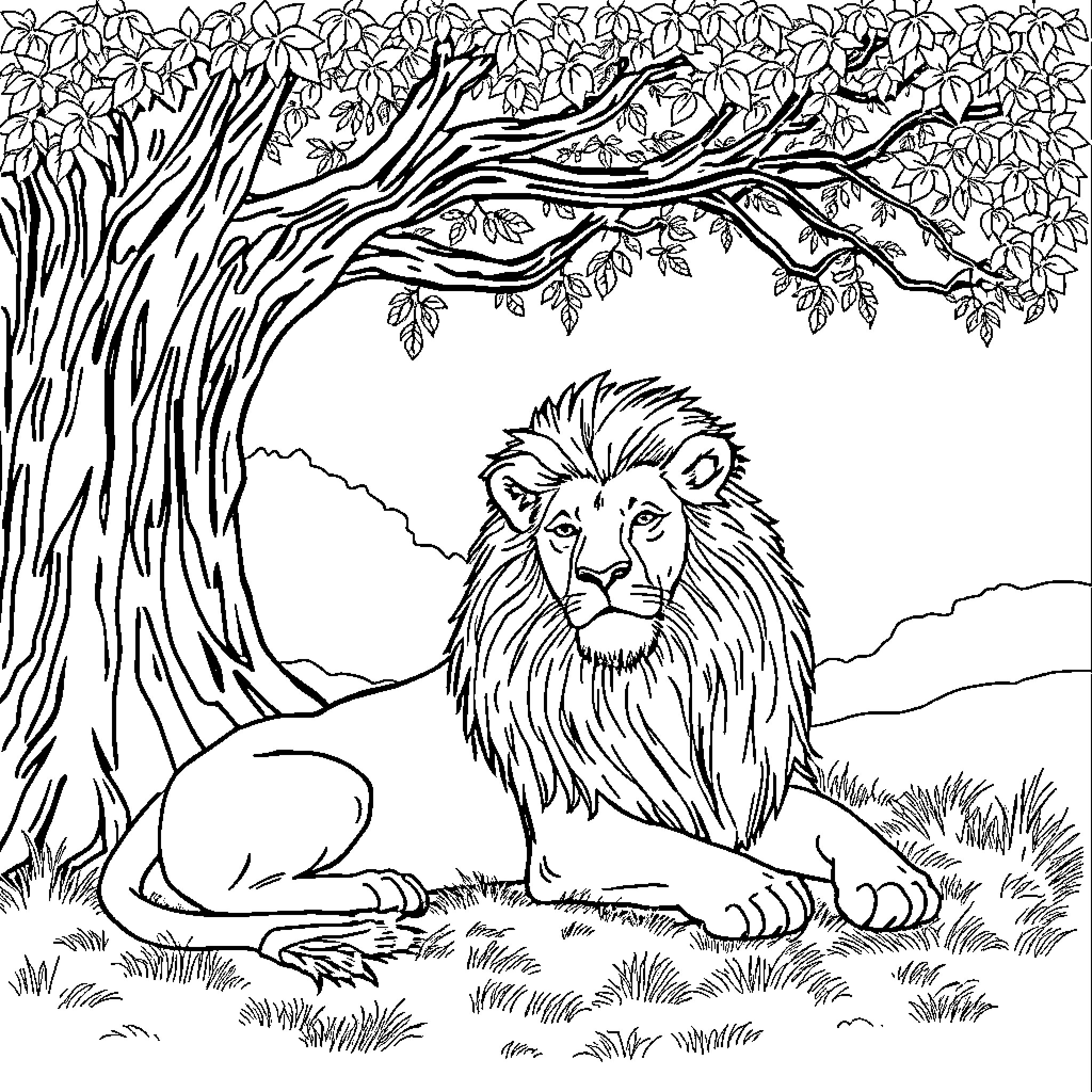Lion resting under a blooming tree Coloring Page (free black-and-white line drawing printable PDF for all, from beginners to advanced learners, including children, teens, adults, and seniors)