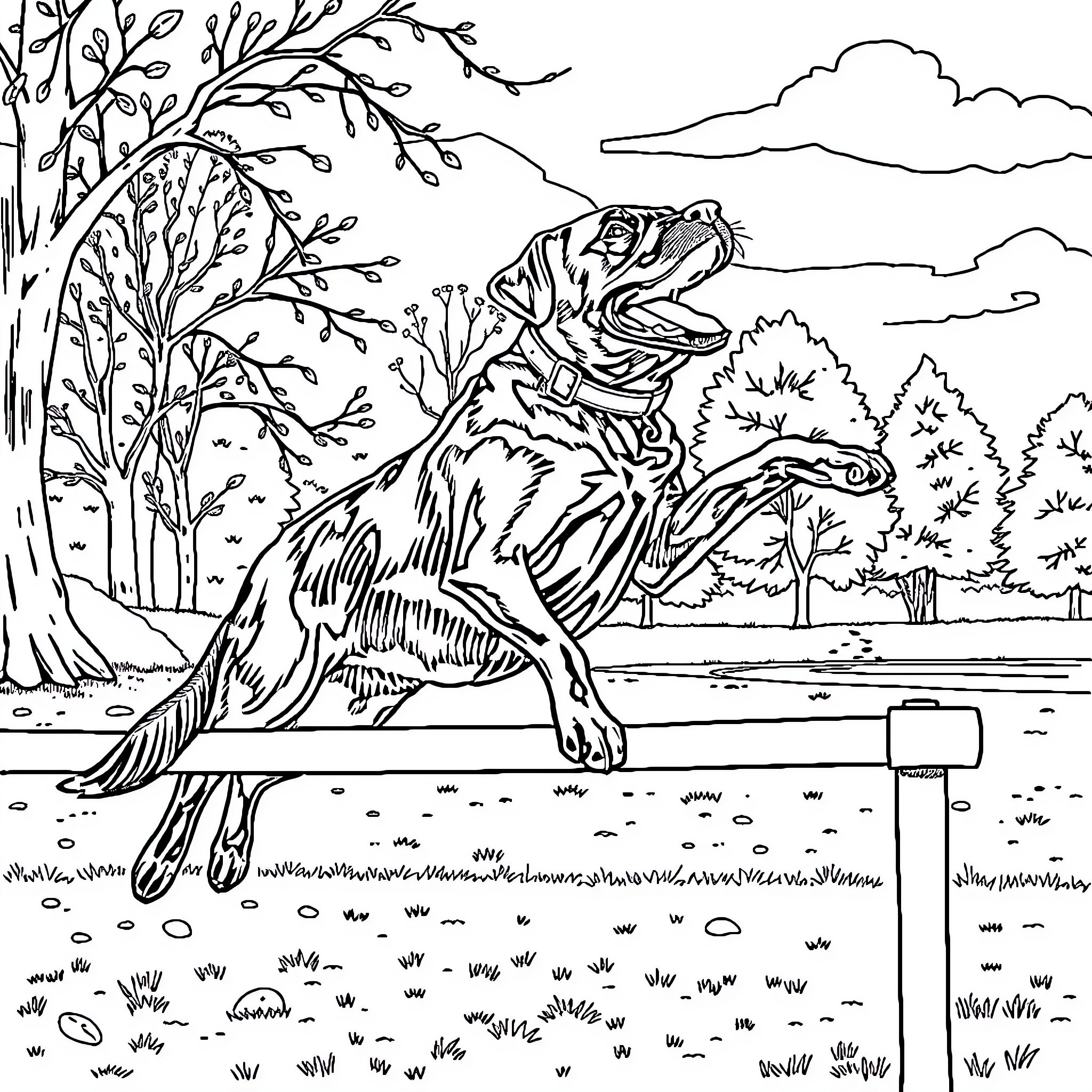 Labrador enjoying the outdoors in a tranquil setting Coloring Page (free black-and-white line drawing printable PDF for all, from beginners to advanced learners, including children, teens, adults, and seniors)