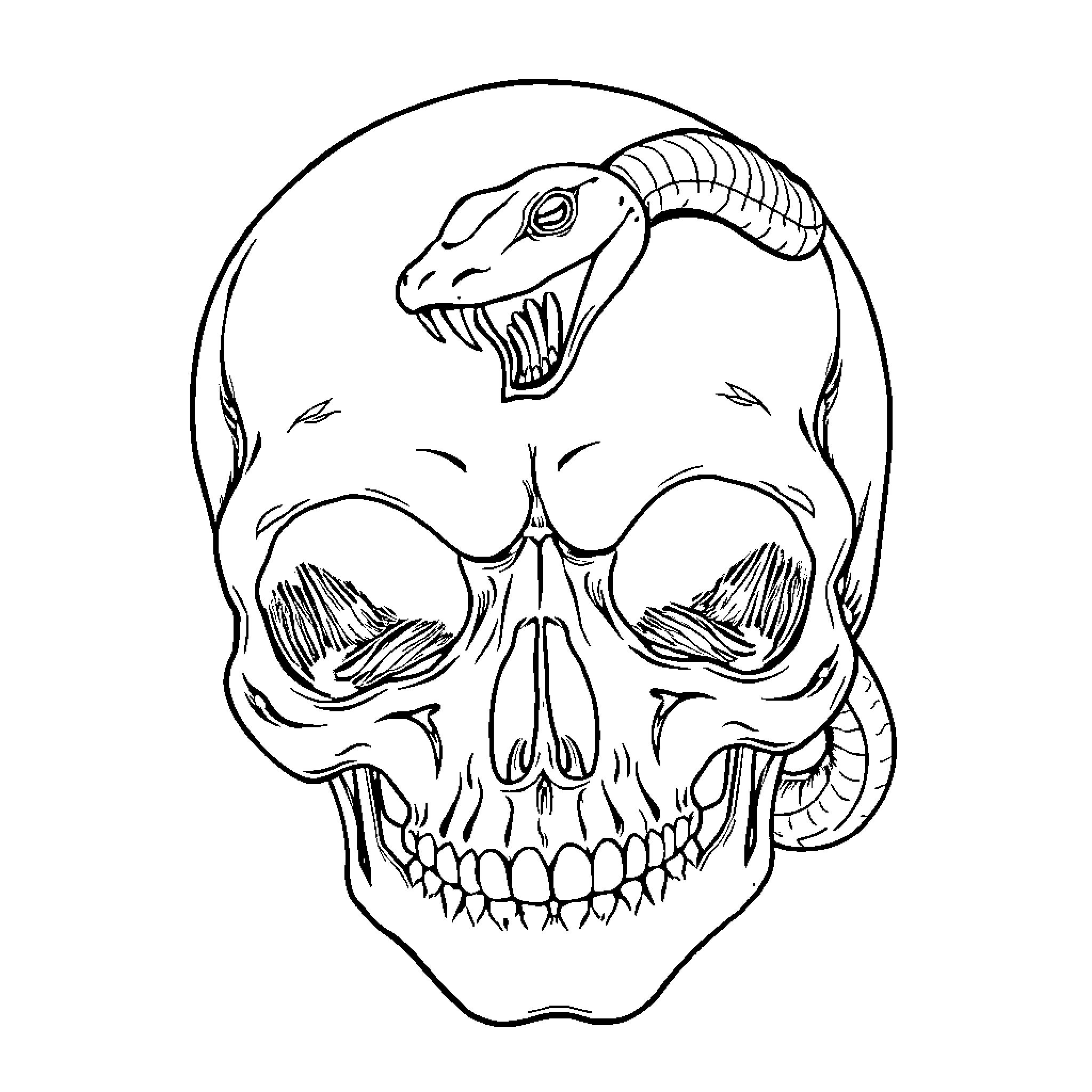 Skull with menacing serpent emerging from eye socket Coloring Page (free black-and-white line drawing printable PDF for all, from beginners to advanced learners, including children, teens, adults, and seniors)