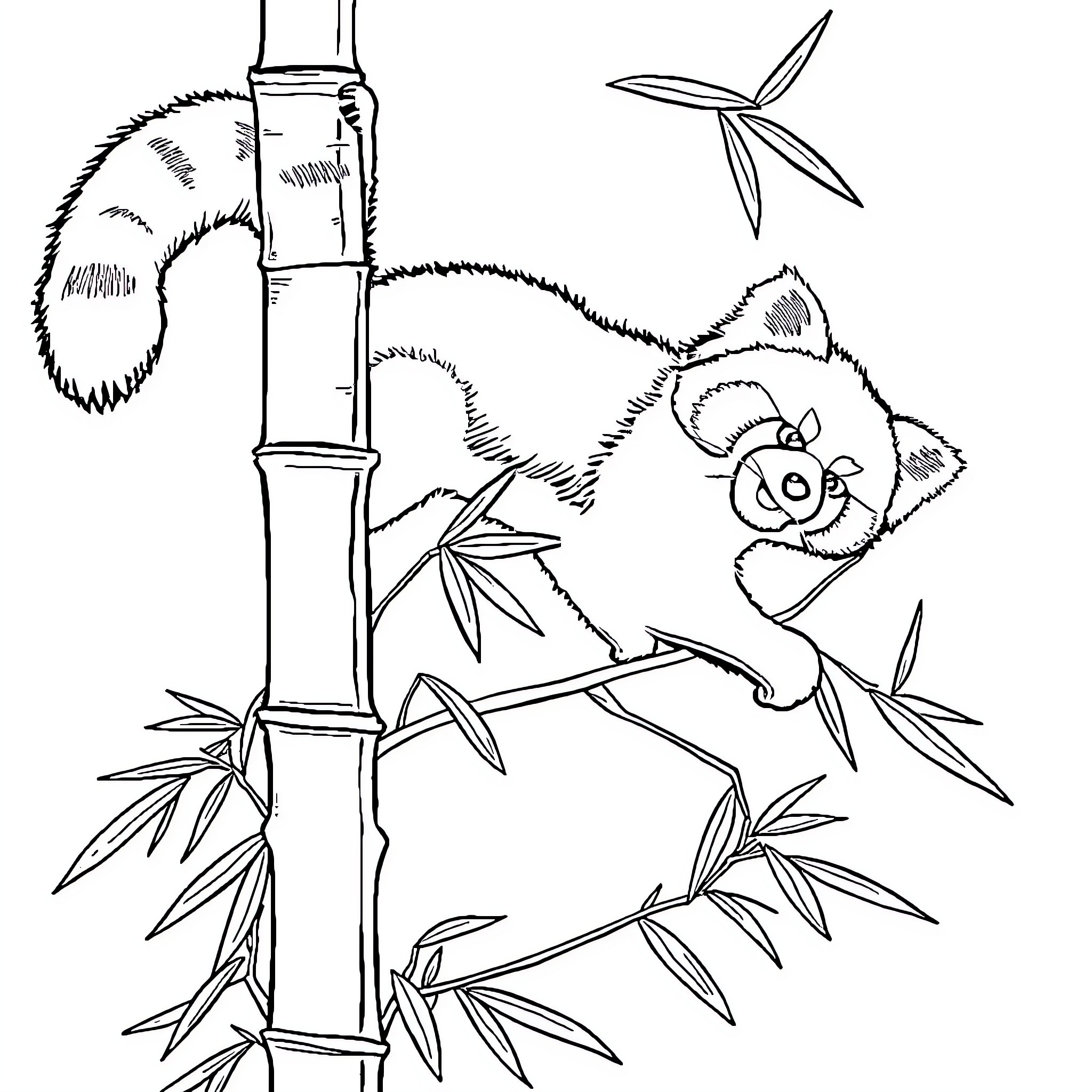 Panda climbing bamboo in nature Coloring Page (free black-and-white line drawing printable PDF for all, from beginners to advanced learners, including children, teens, adults, and seniors)
