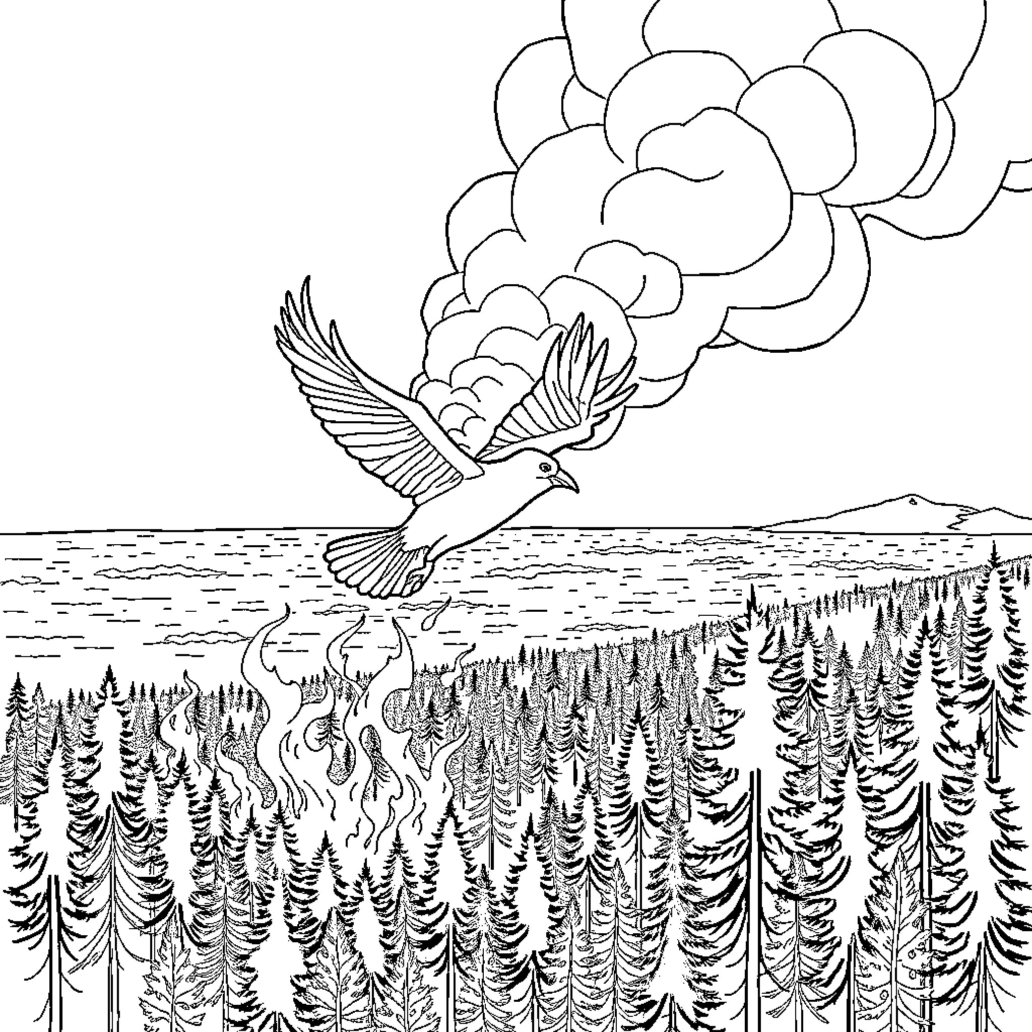Canadair firefighting aircraft soaring over burning forest Coloring Page (free black-and-white line drawing printable PDF for all, from beginners to advanced learners, including children, teens, adults, and seniors)
