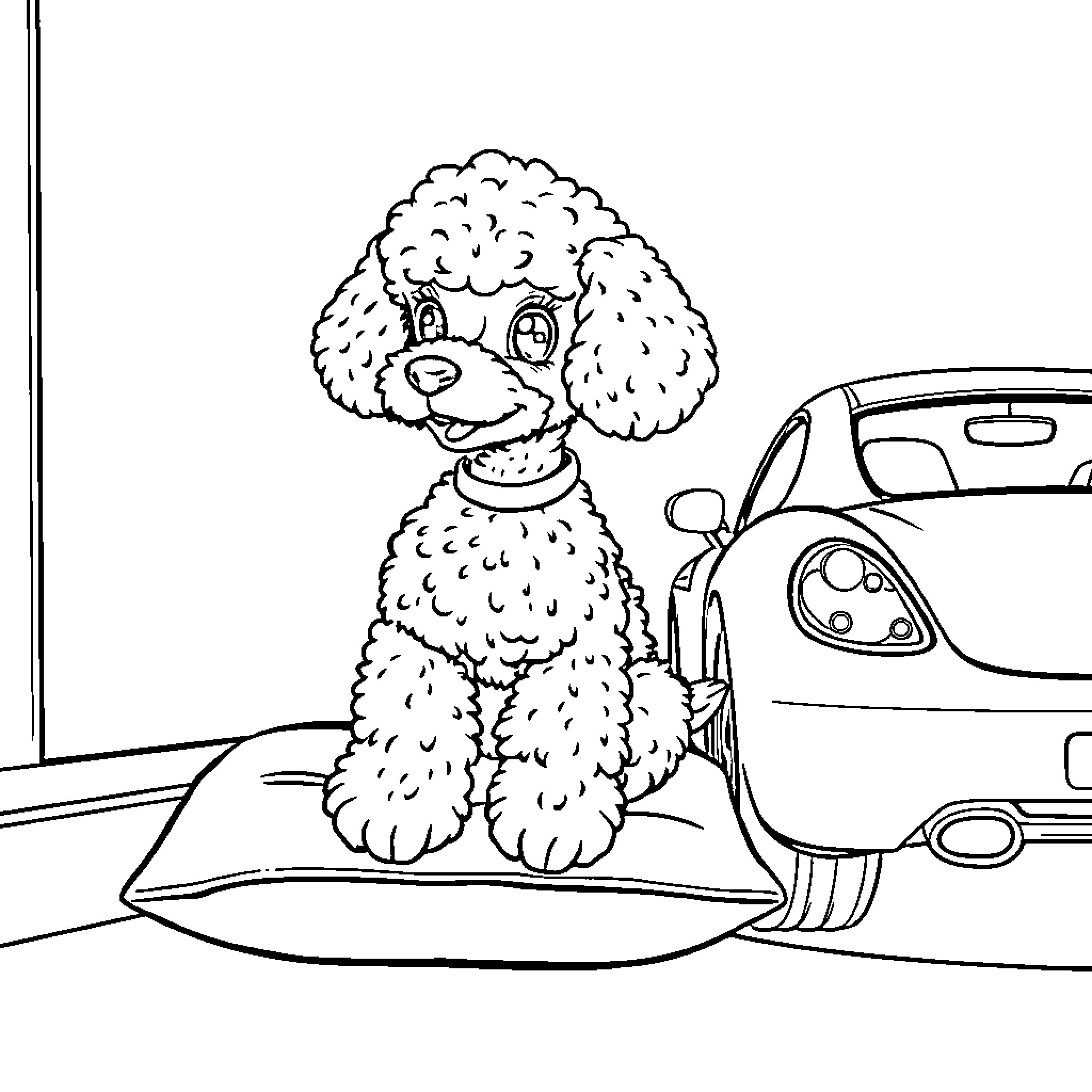 Poodle sitting on a cushion near car Coloring Page (free black-and-white line drawing printable PDF for all, from beginners to advanced learners, including children, teens, adults, and seniors)