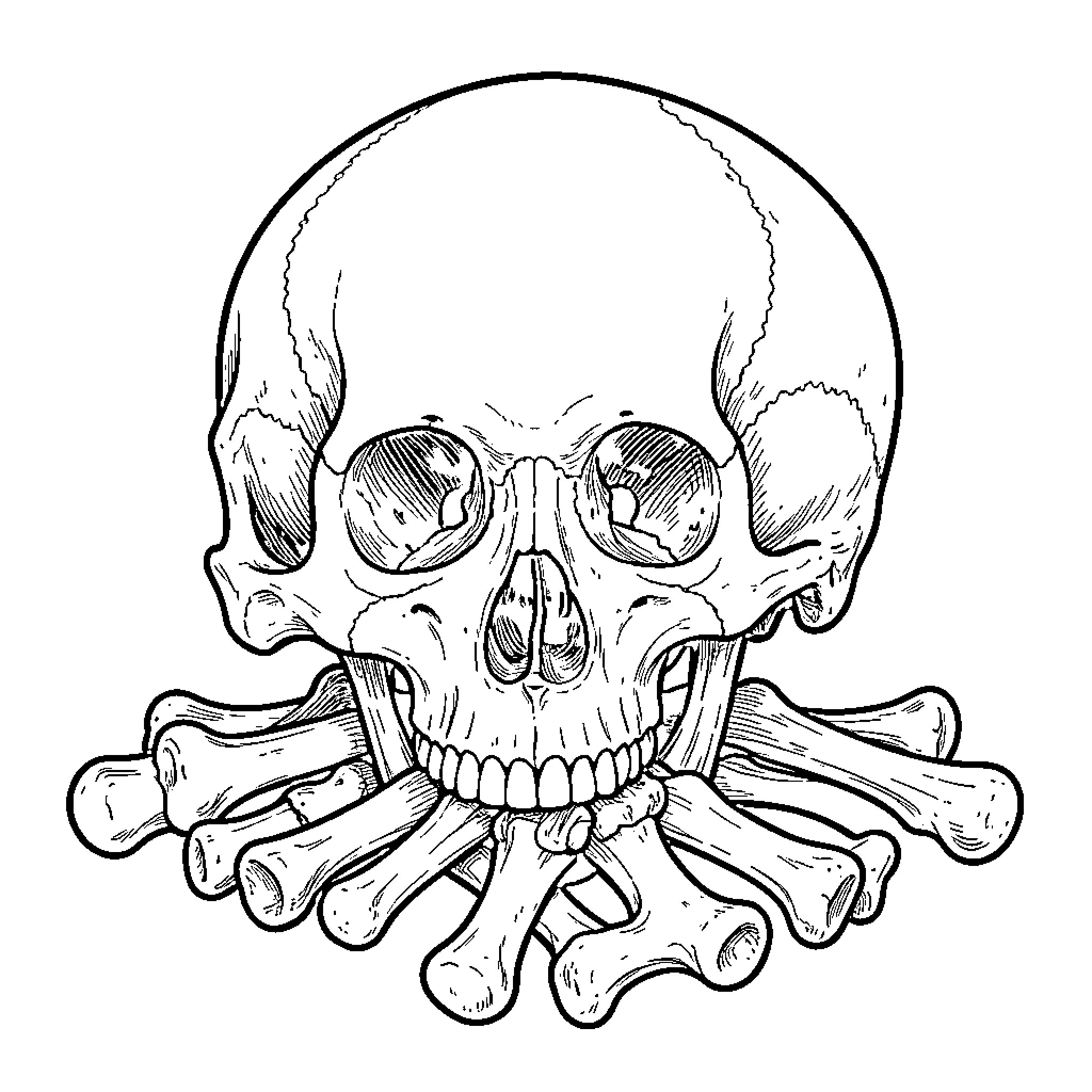 Skull with Crossbones in Sketch Style Coloring Page (free black-and-white line drawing printable PDF for all, from beginners to advanced learners, including children, teens, adults, and seniors)