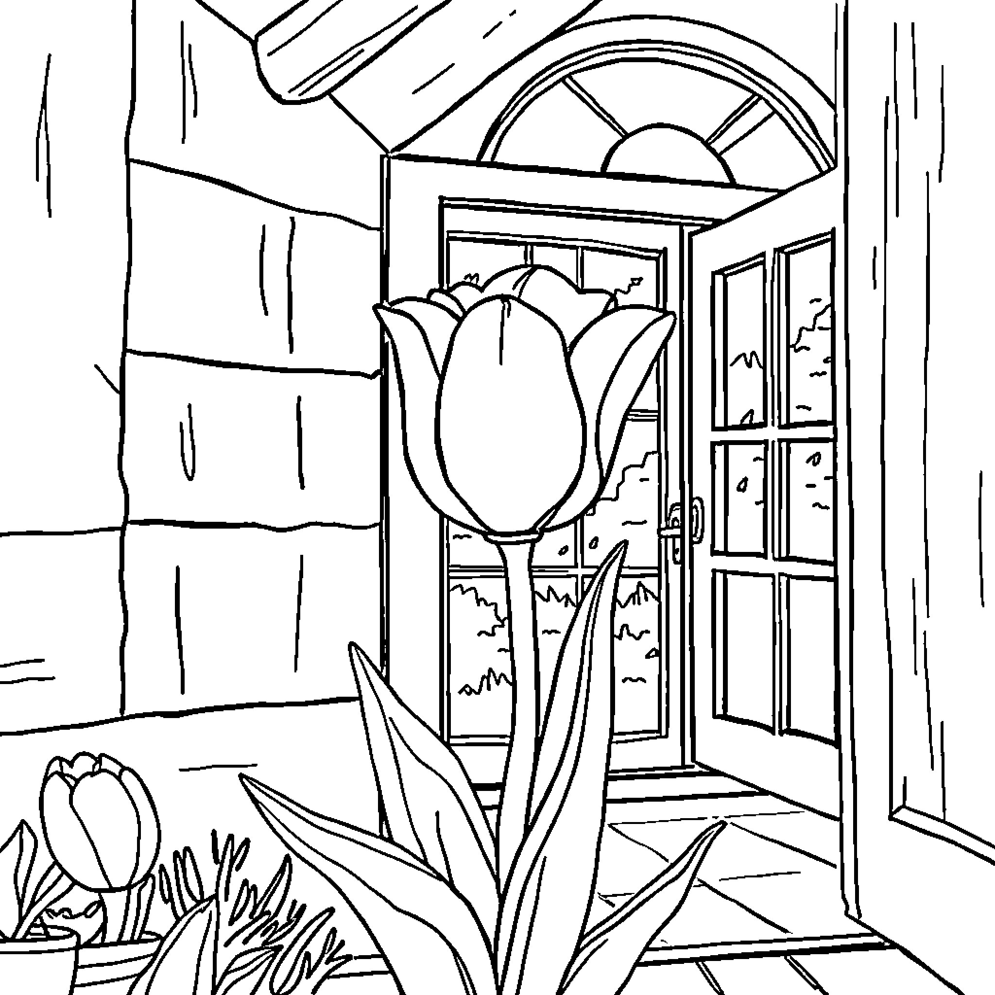 Tulip blooming at the doorway Coloring Page (free black-and-white line drawing printable PDF for all, from beginners to advanced learners, including children, teens, adults, and seniors)
