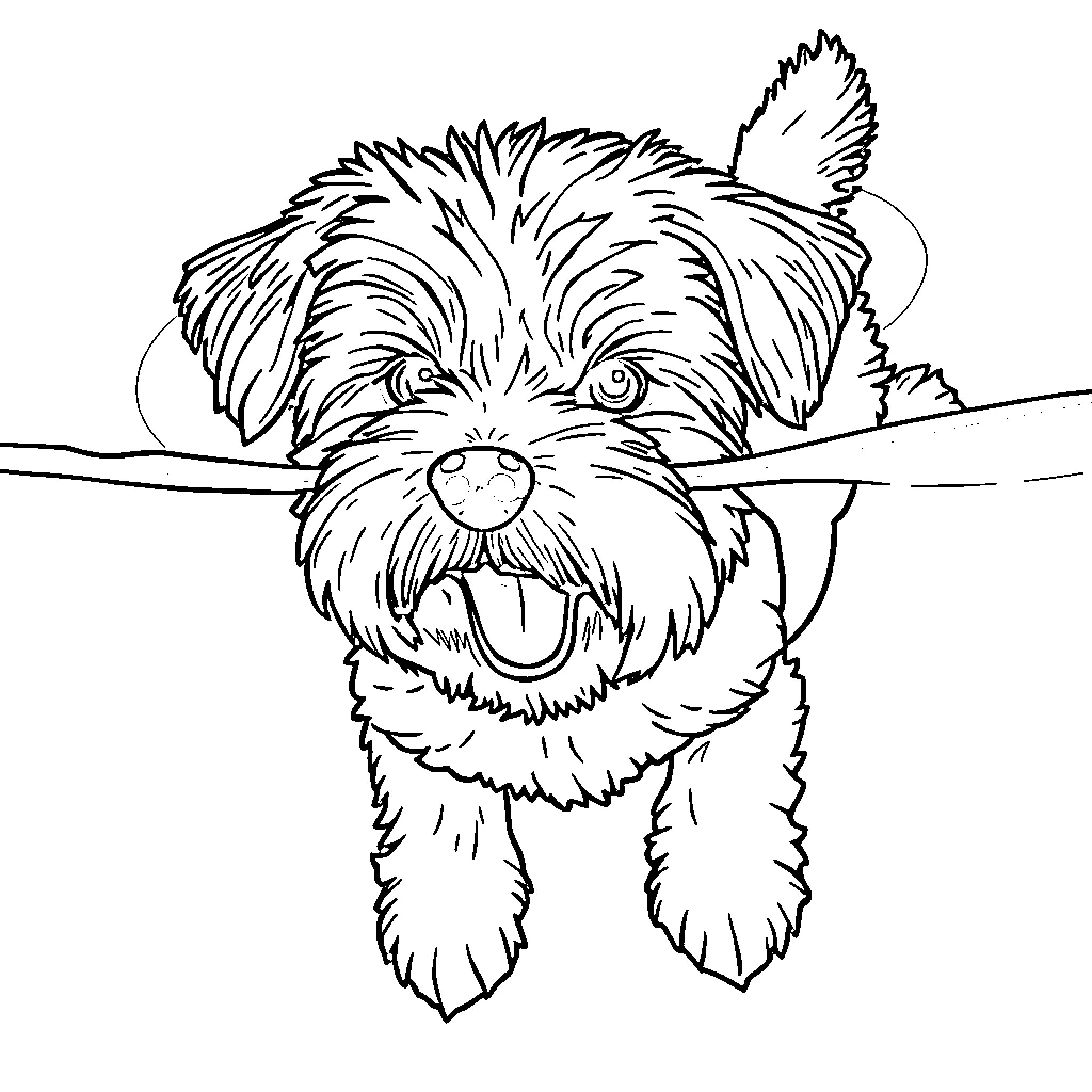 Maltese dog playfully holding a stick Coloring Page (free black-and-white line drawing printable PDF for all, from beginners to advanced learners, including children, teens, adults, and seniors)