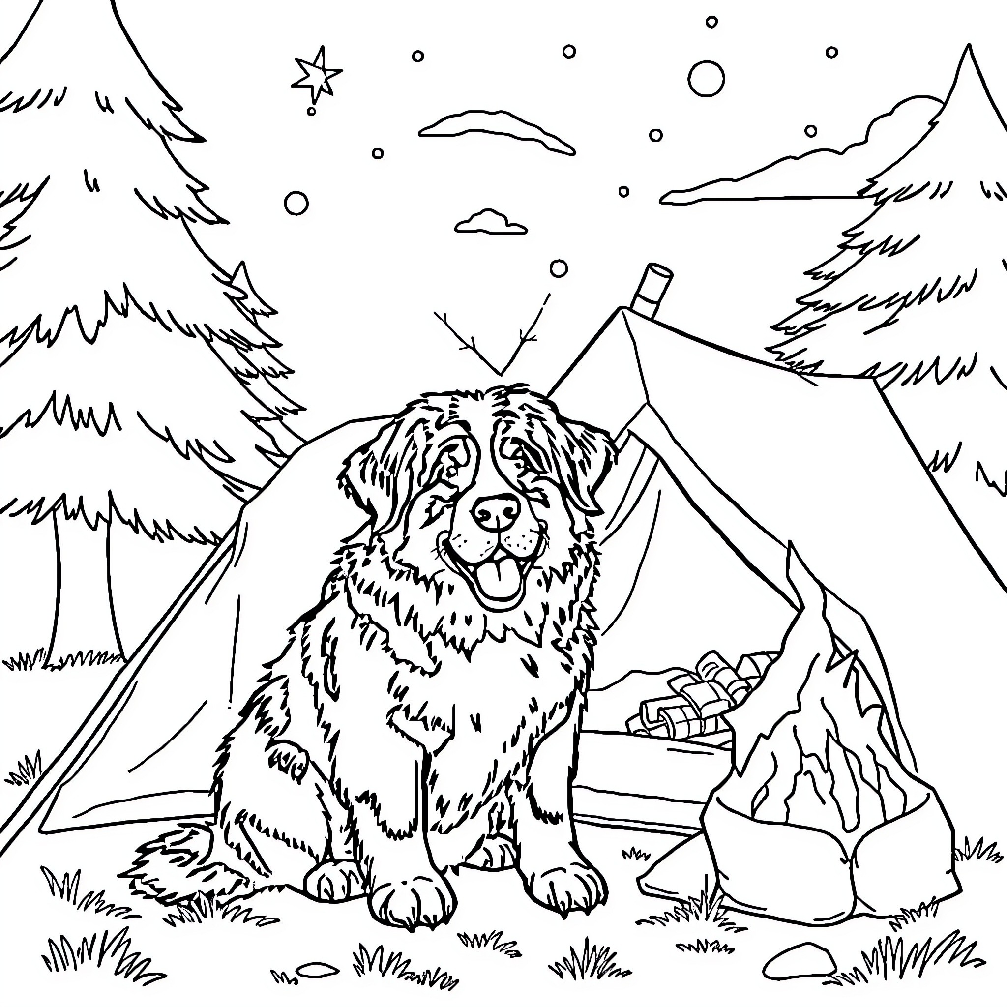 Bernese Mountain Dog camping in the wilderness Coloring Page (free black-and-white line drawing printable PDF for all, from beginners to advanced learners, including children, teens, adults, and seniors)