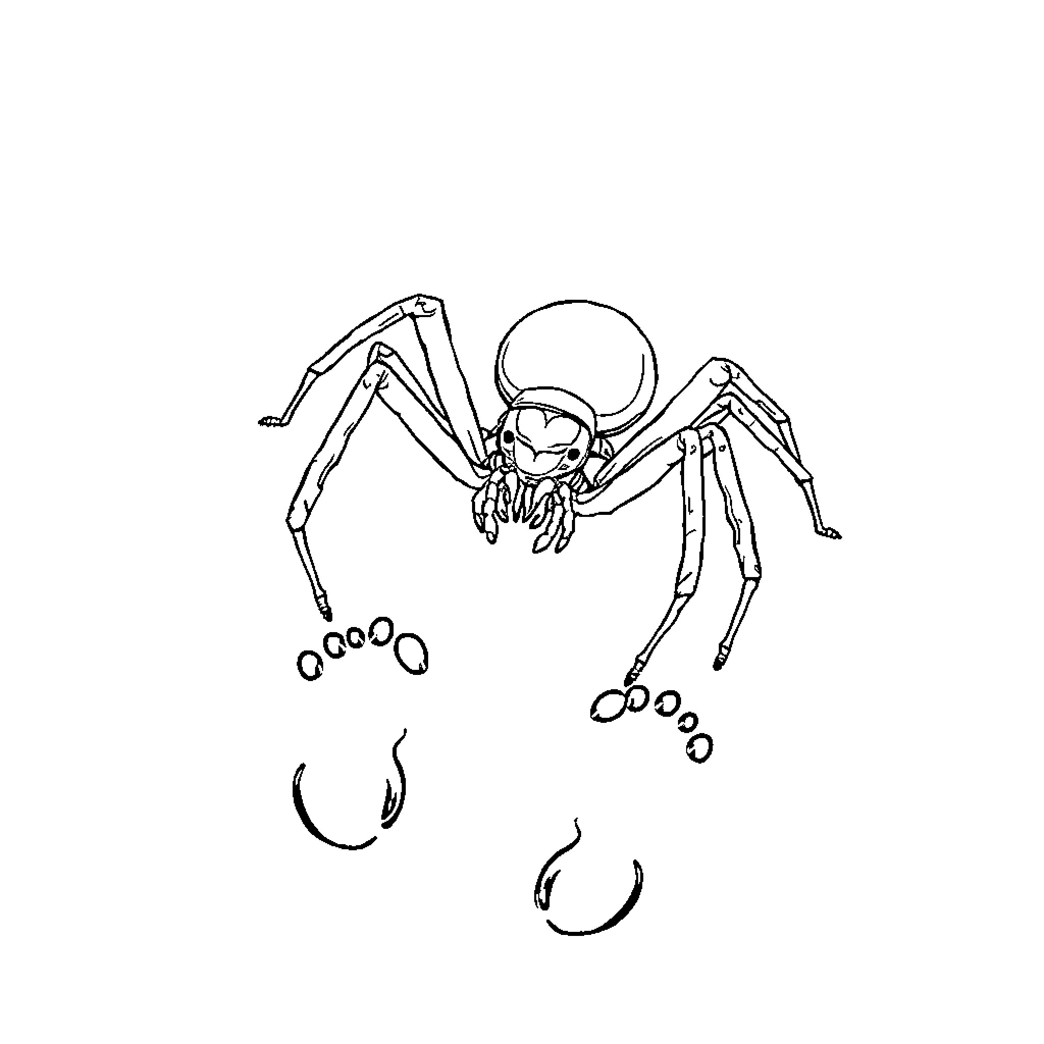 Spider scurrying with playful energy Coloring Page (free black-and-white line drawing printable PDF for all, from beginners to advanced learners, including children, teens, adults, and seniors)