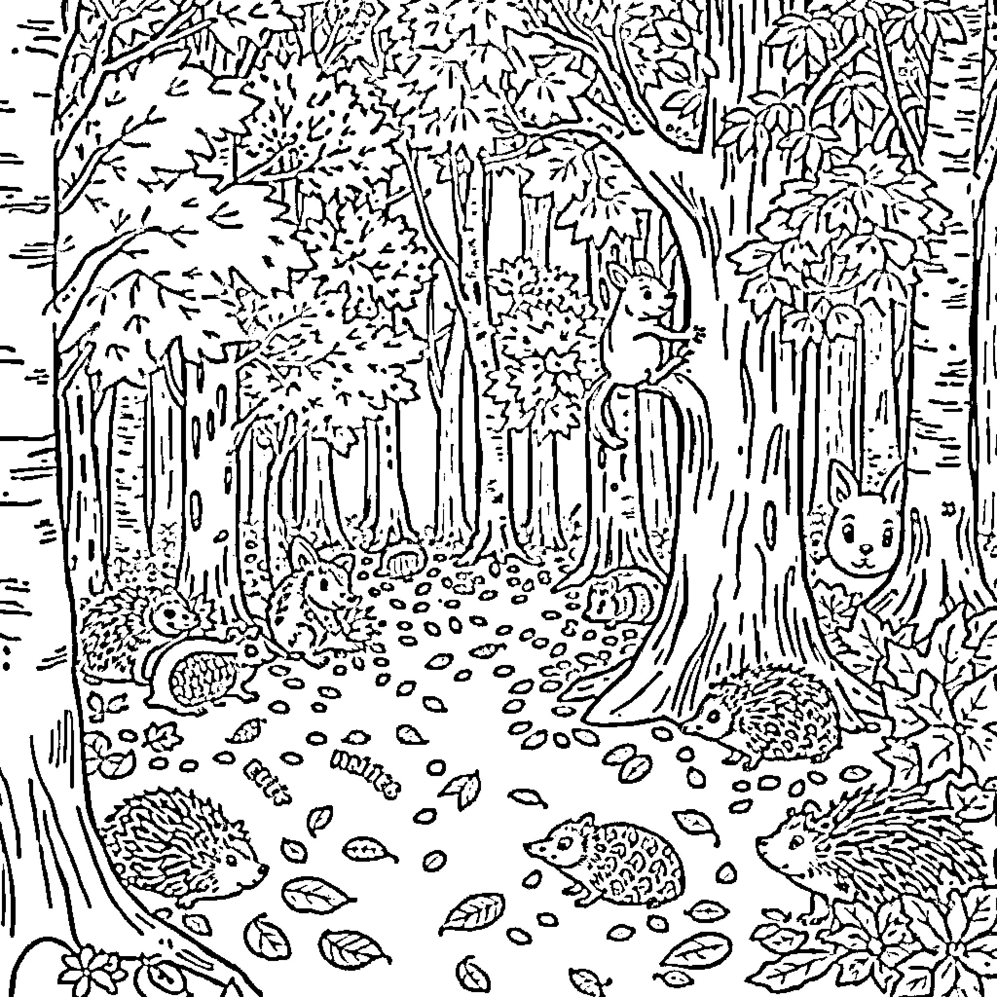 Tree-covered forest with wildlife Coloring Page (free black-and-white line drawing printable PDF for all, from beginners to advanced learners, including children, teens, adults, and seniors)
