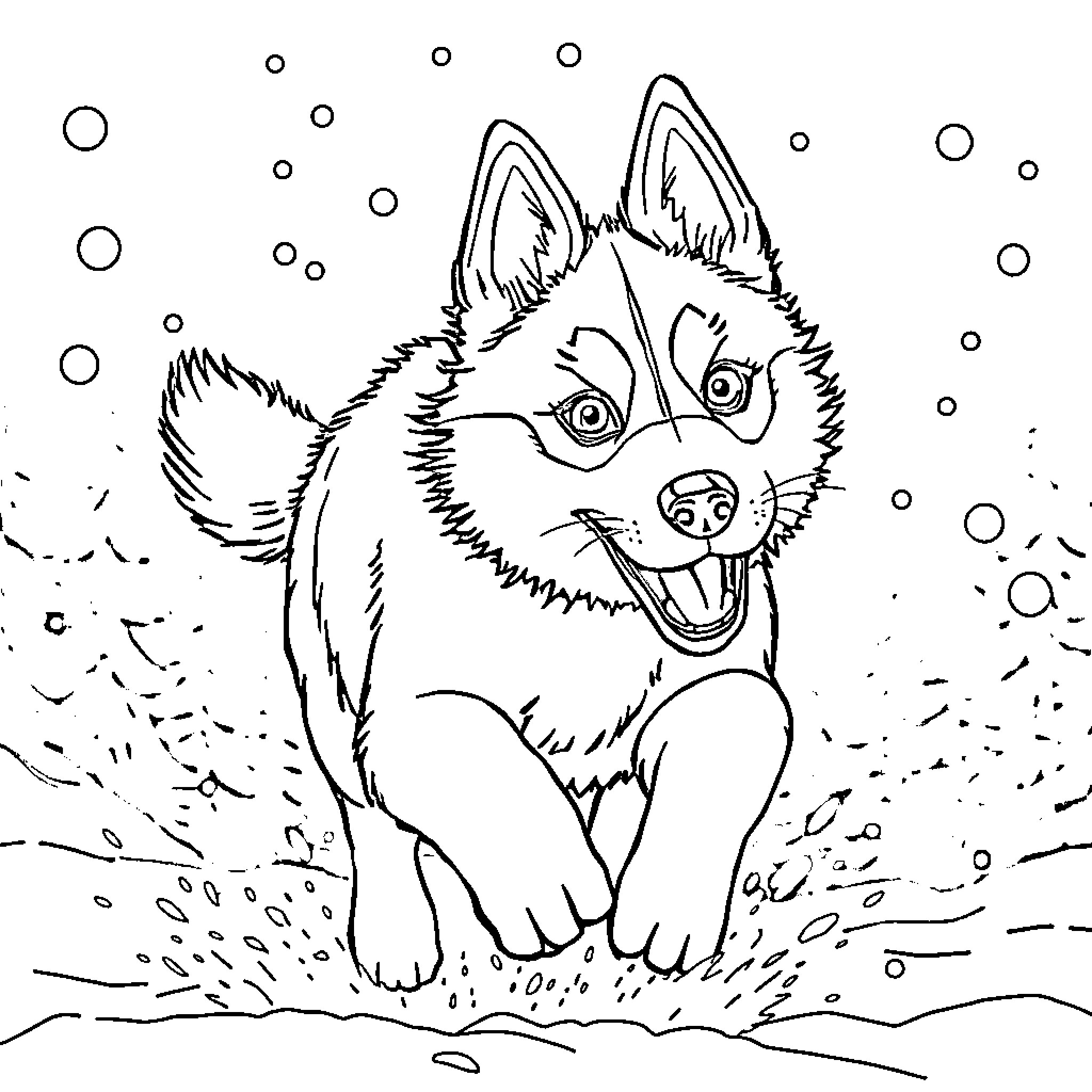 Husky playing joyfully in the snow Coloring Page (free black-and-white line drawing printable PDF for all, from beginners to advanced learners, including children, teens, adults, and seniors)