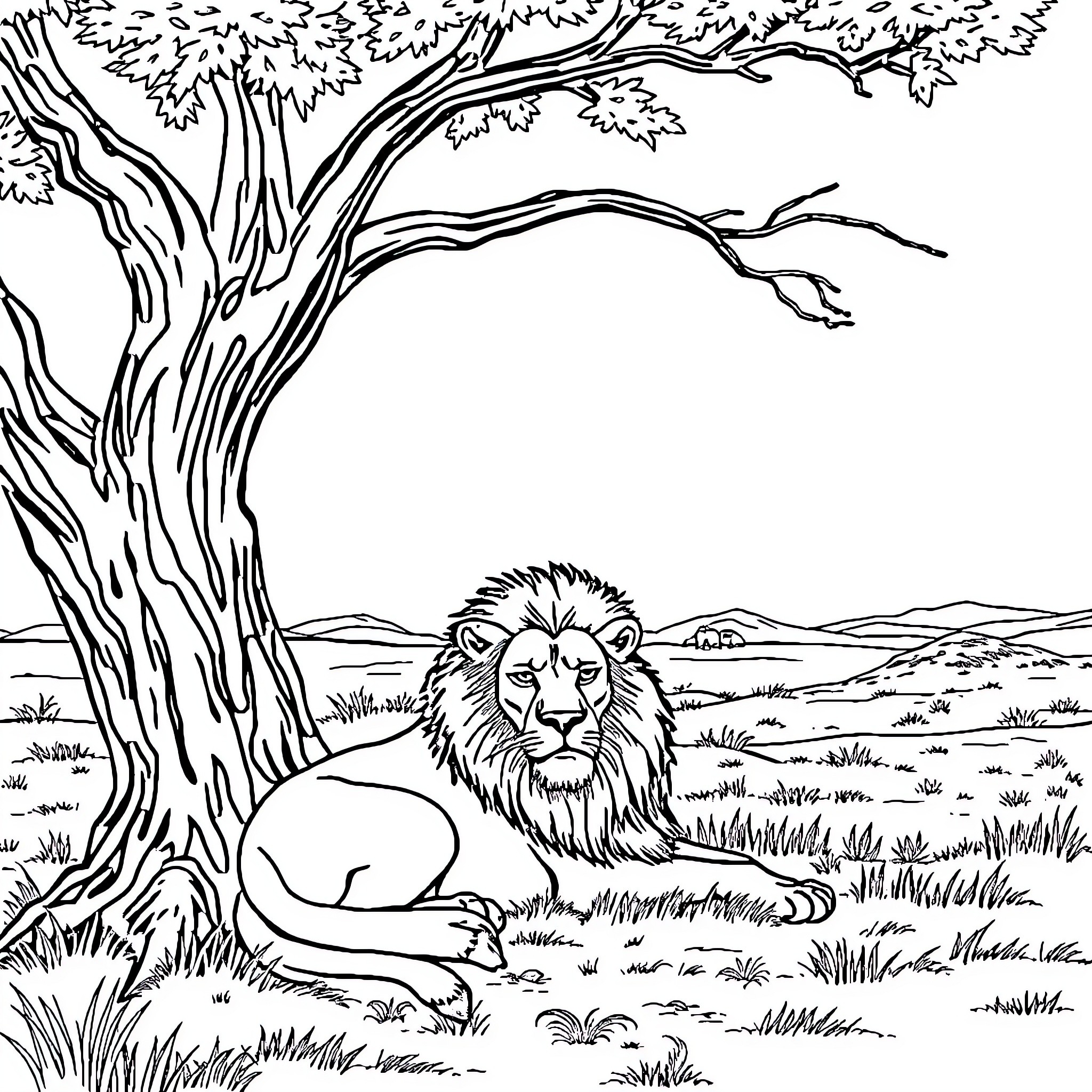 Lion resting under a large tree in the wilderness Coloring Page (free black-and-white line drawing printable PDF for all, from beginners to advanced learners, including children, teens, adults, and seniors)