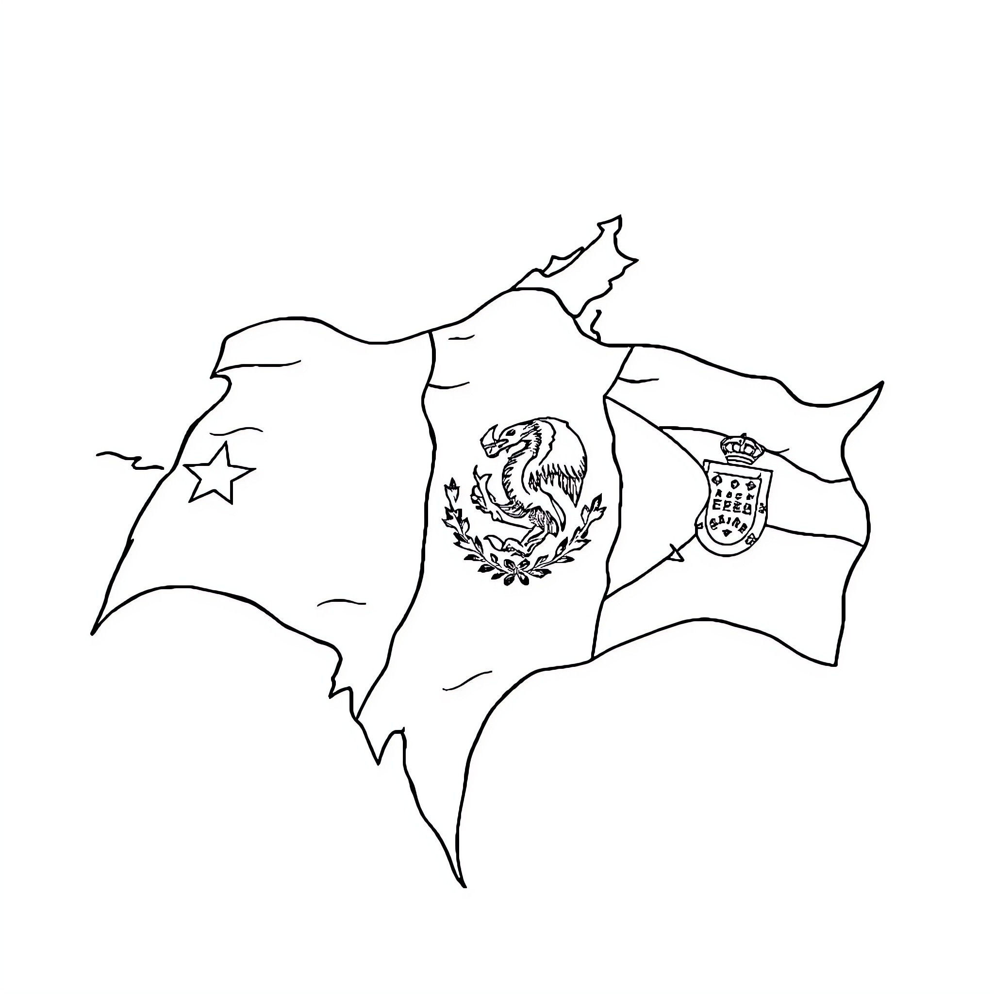 Flag depicting map and emblem of a country Coloring Page (free black-and-white line drawing printable PDF for all, from beginners to advanced learners, including children, teens, adults, and seniors)