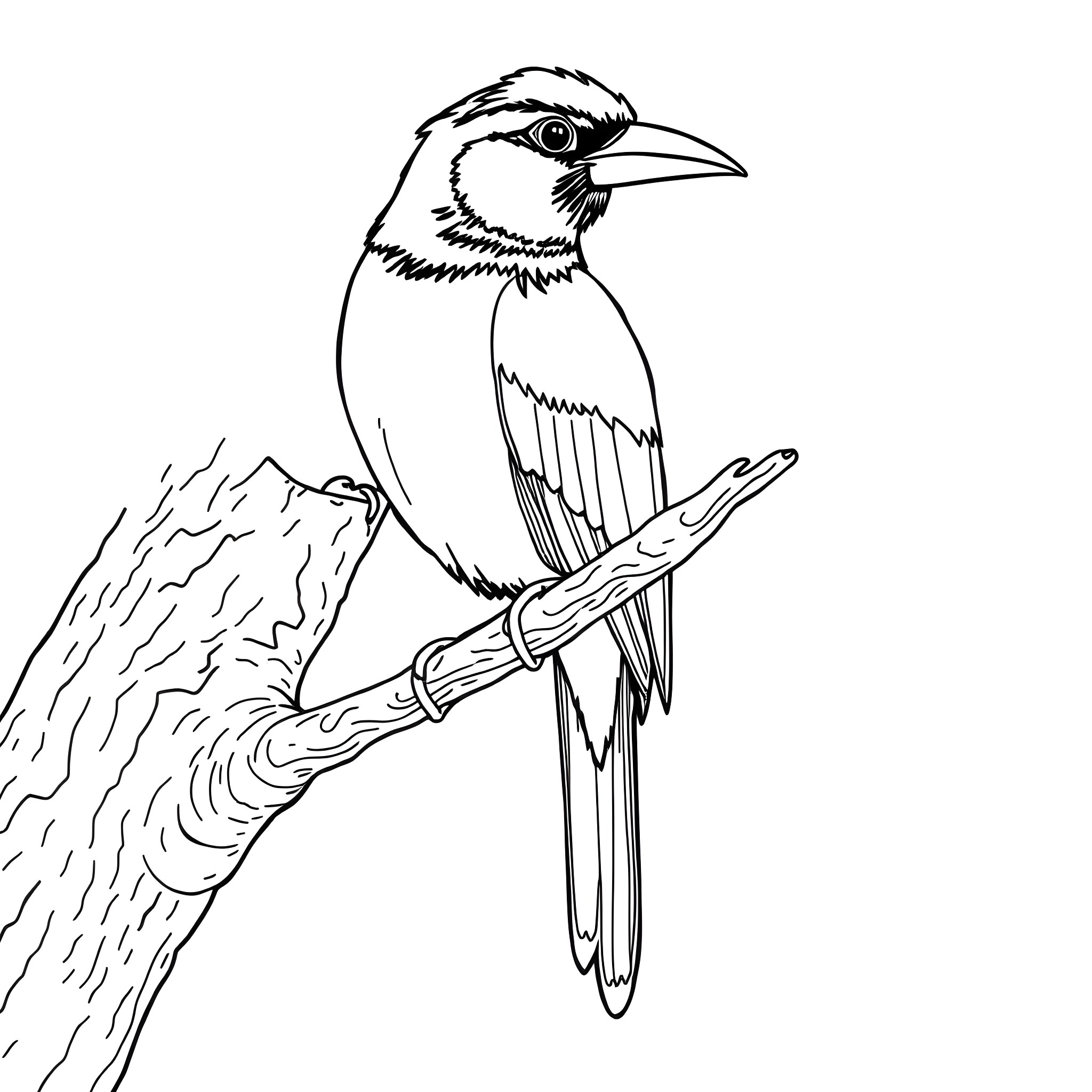 Gouldian Finch perched on branch Coloring Page (free black-and-white line drawing printable PDF for all, from beginners to advanced learners, including children, teens, adults, and seniors)