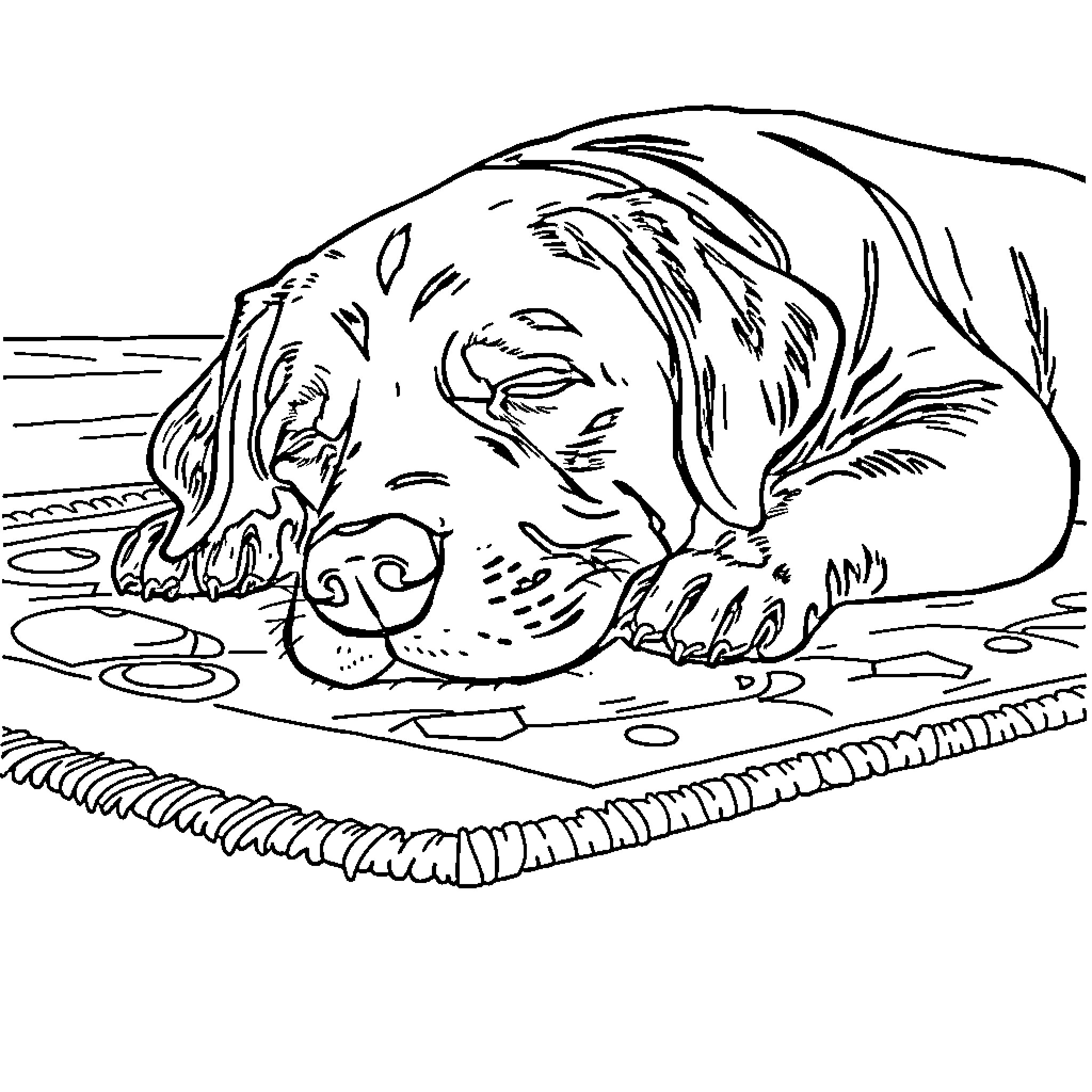 Labrador resting on the shore Coloring Page (free black-and-white line drawing printable PDF for all, from beginners to advanced learners, including children, teens, adults, and seniors)
