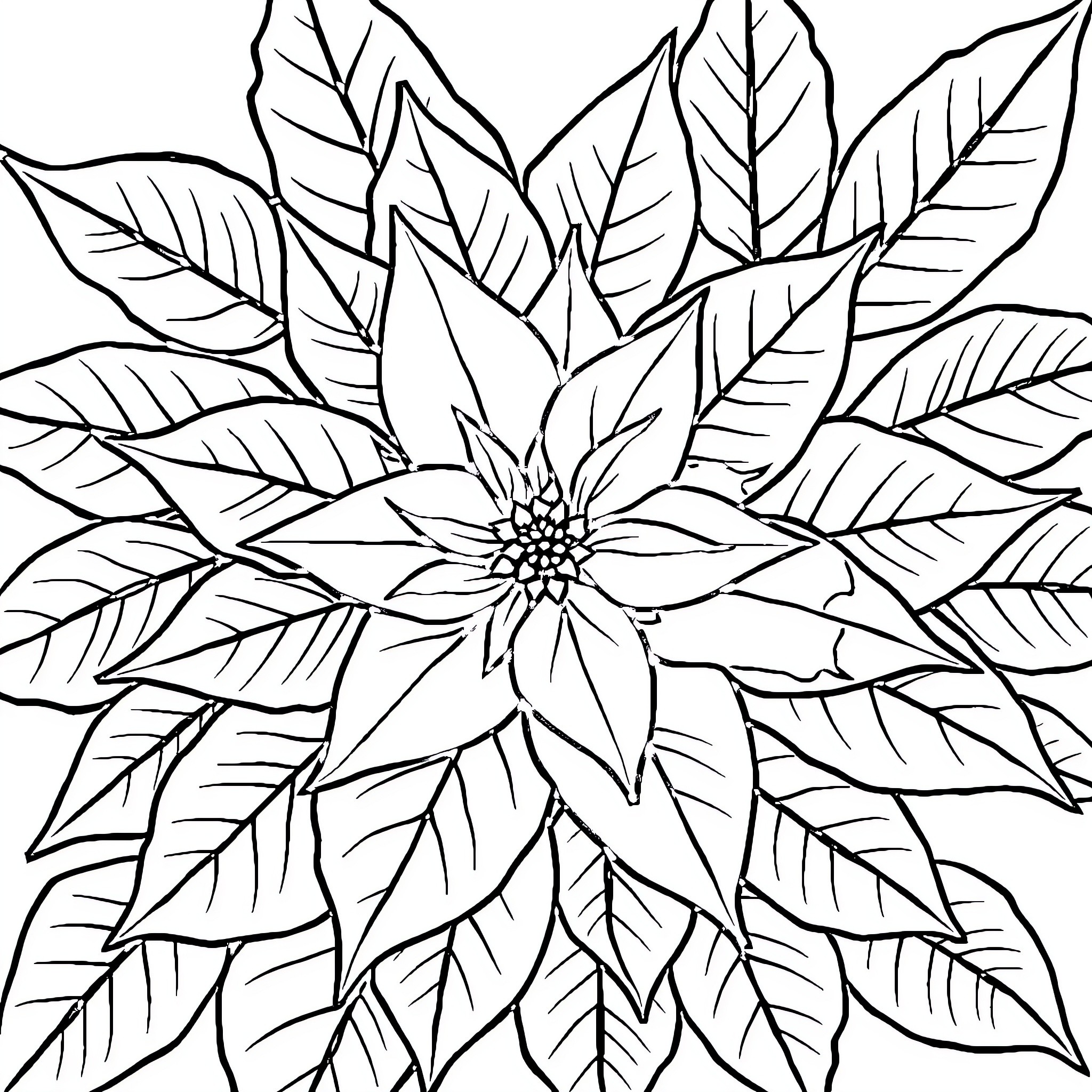 Poinsettia bloom with intricate leaf patterns Coloring Page (free black-and-white line drawing printable PDF for all, from beginners to advanced learners, including children, teens, adults, and seniors)