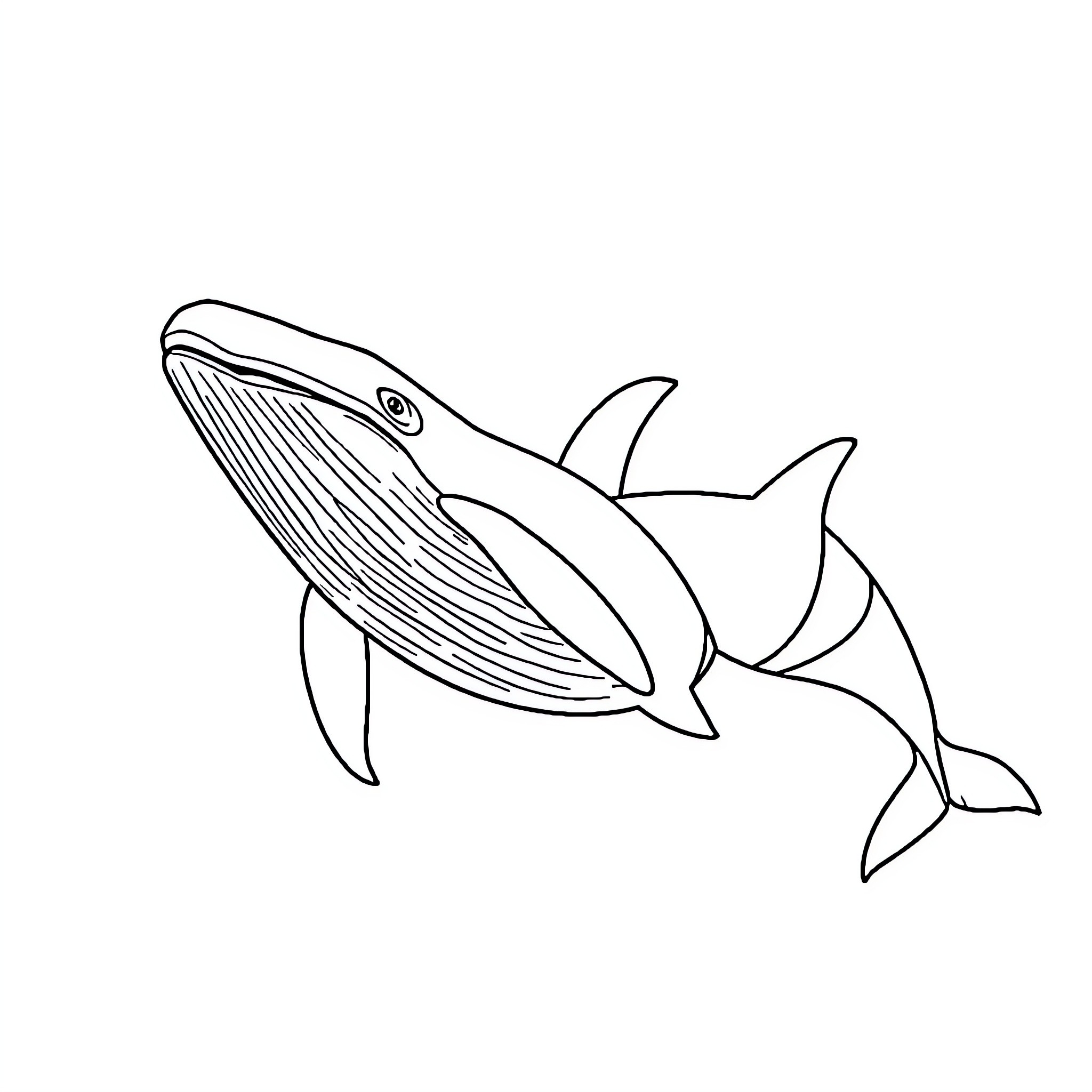 Whale swimming gracefully in the ocean Coloring Page (free black-and-white line drawing printable PDF for all, from beginners to advanced learners, including children, teens, adults, and seniors)